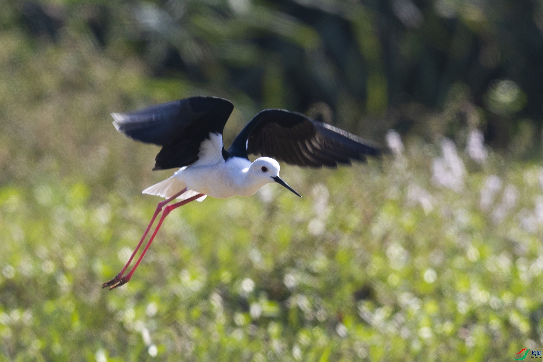 ������04