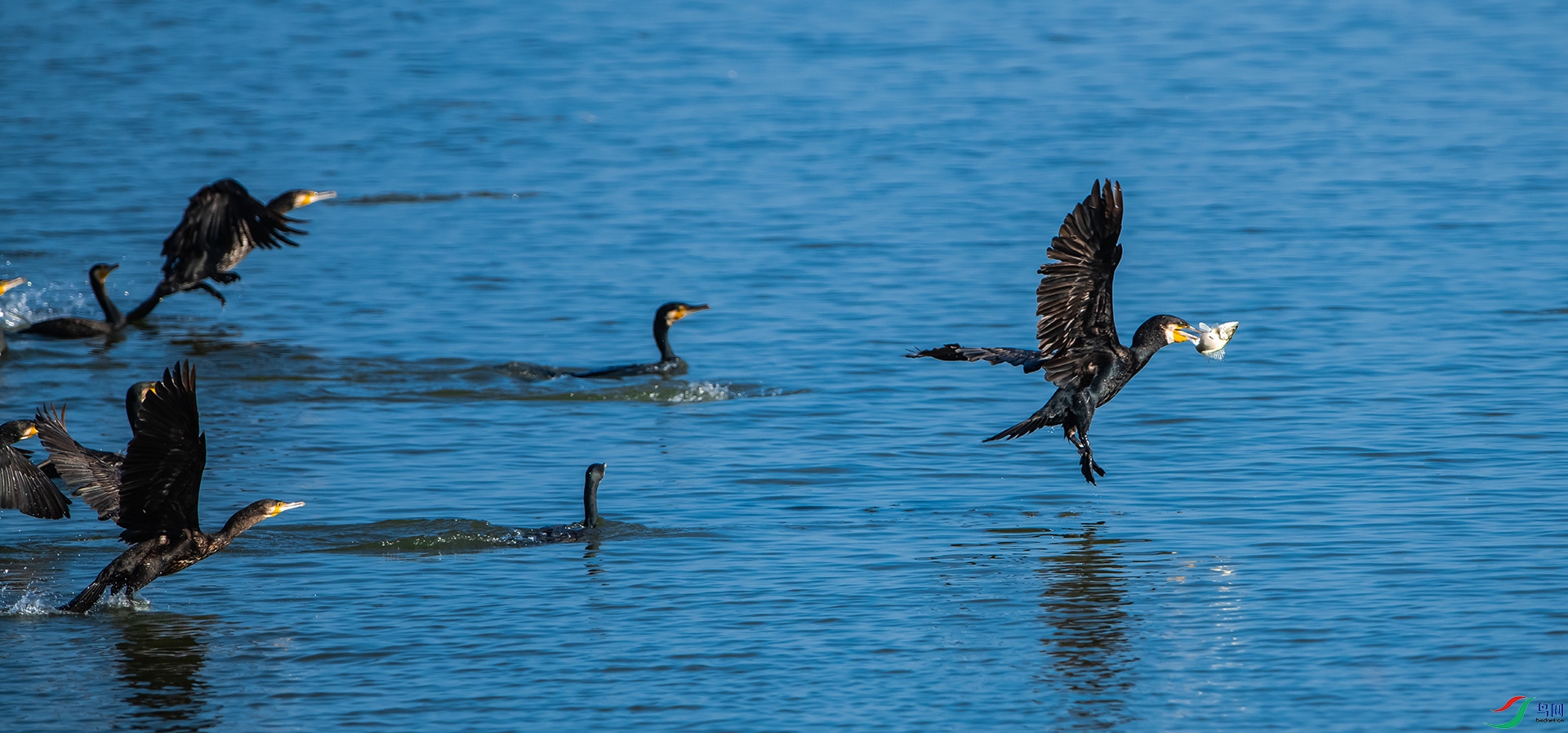 DSC_1659-0.jpg