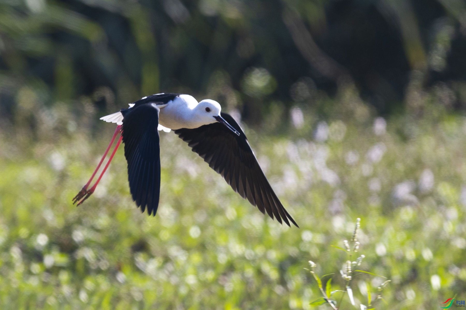 ������08