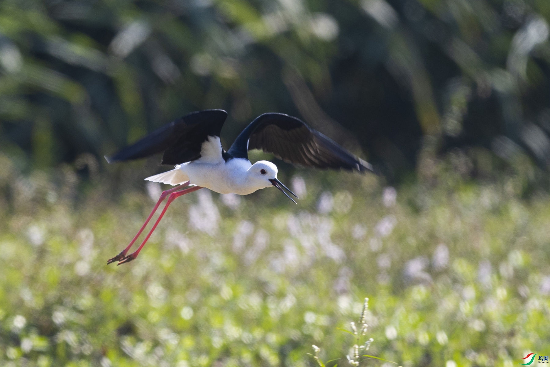 ������09