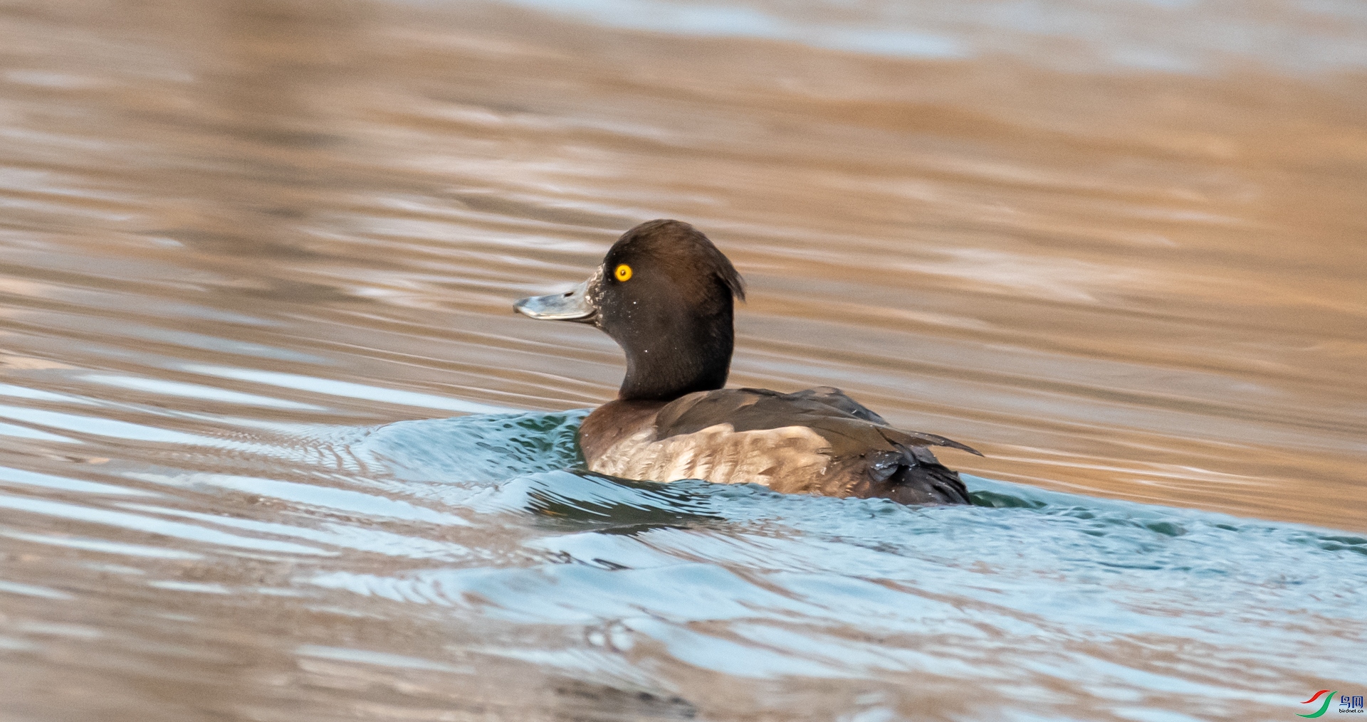 DSC_9087.jpg