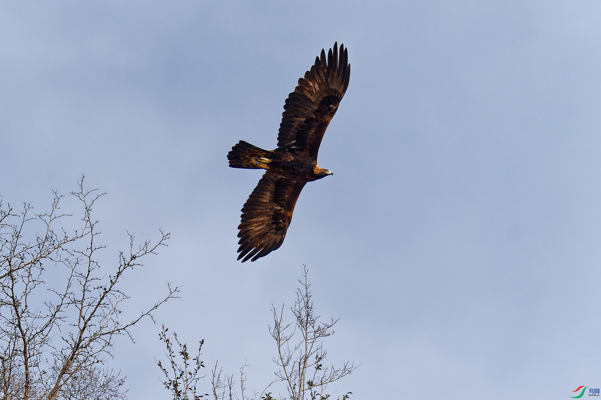 DSC_1224.jpg