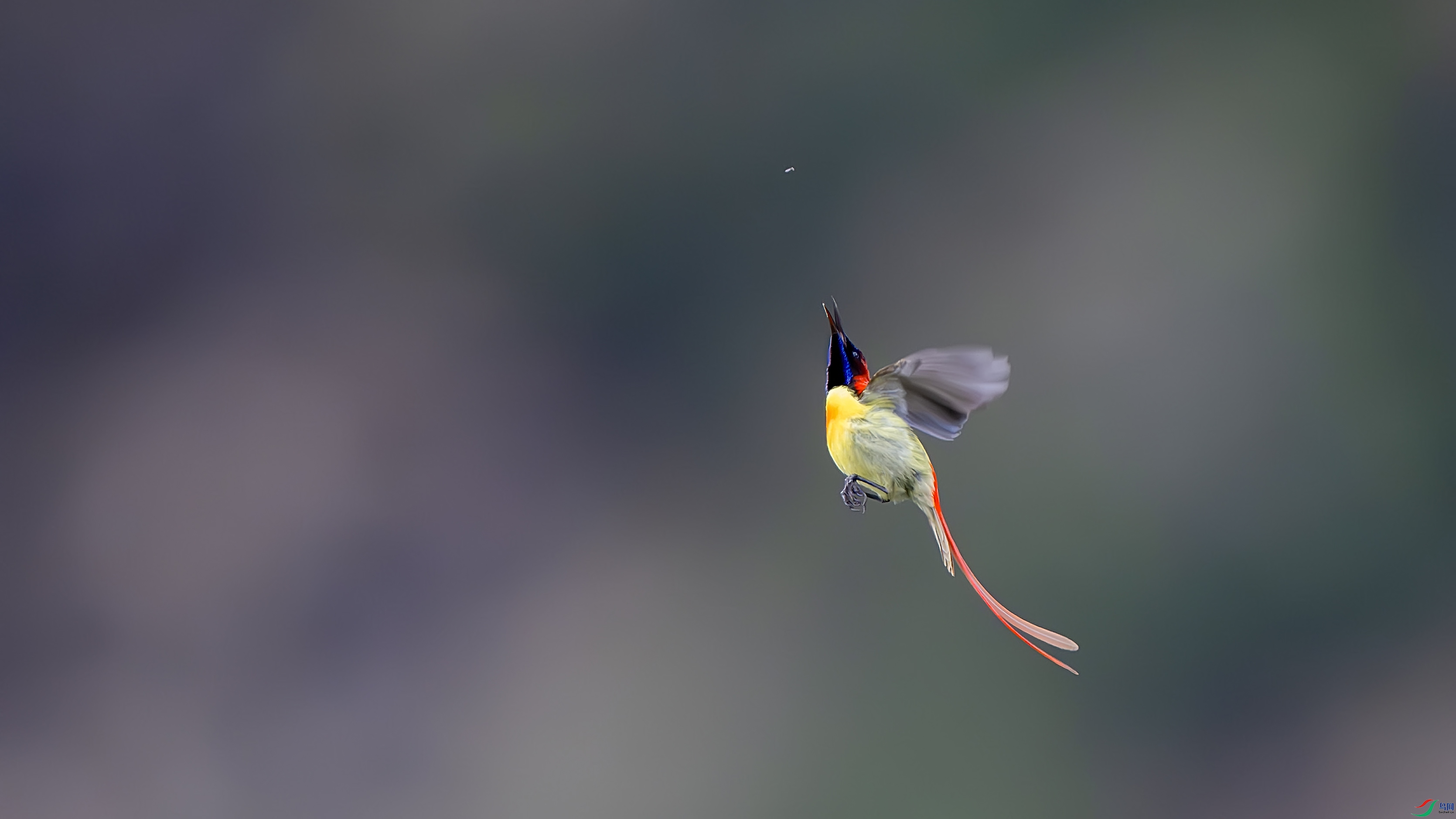 DSC_7439-����ǿ-NR ����.jpg