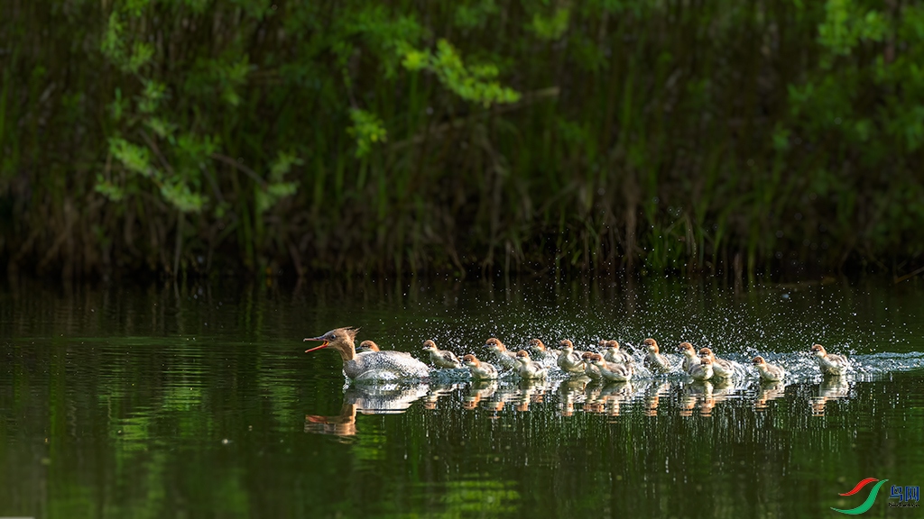 jlmjR230604 (1691)_DxO.jpg