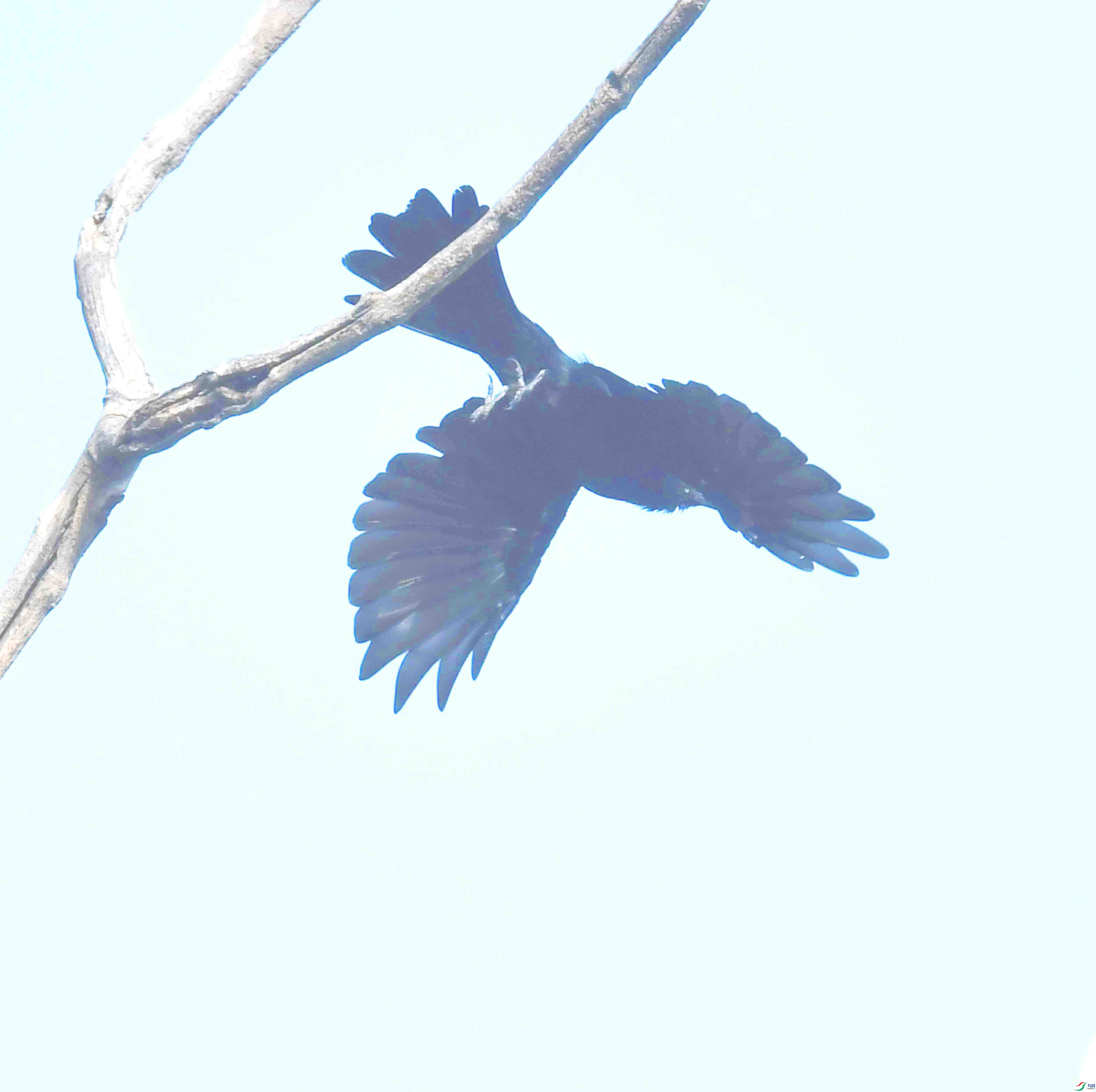 DSC_5100.JPG