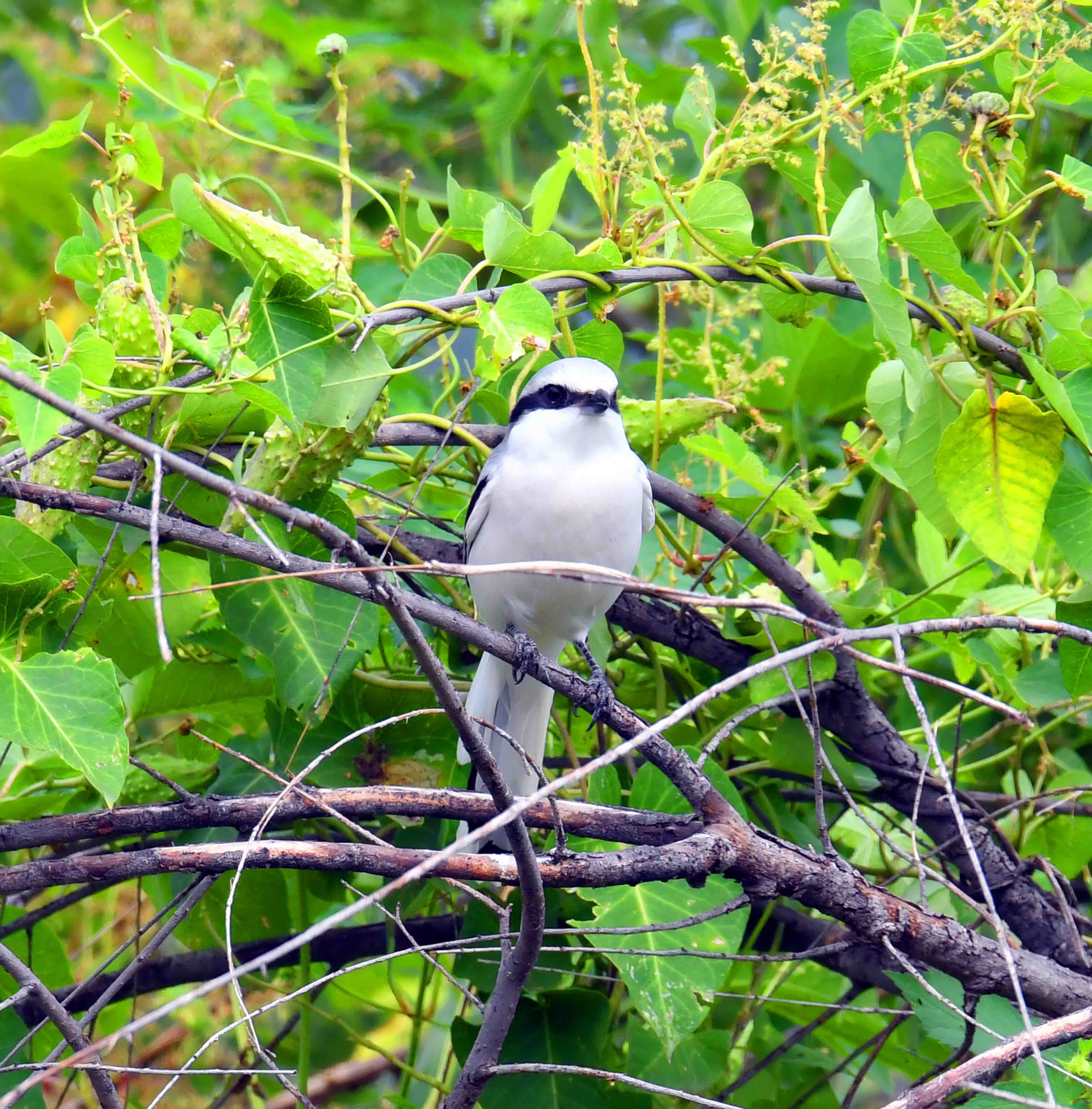 DSC_5314.JPG