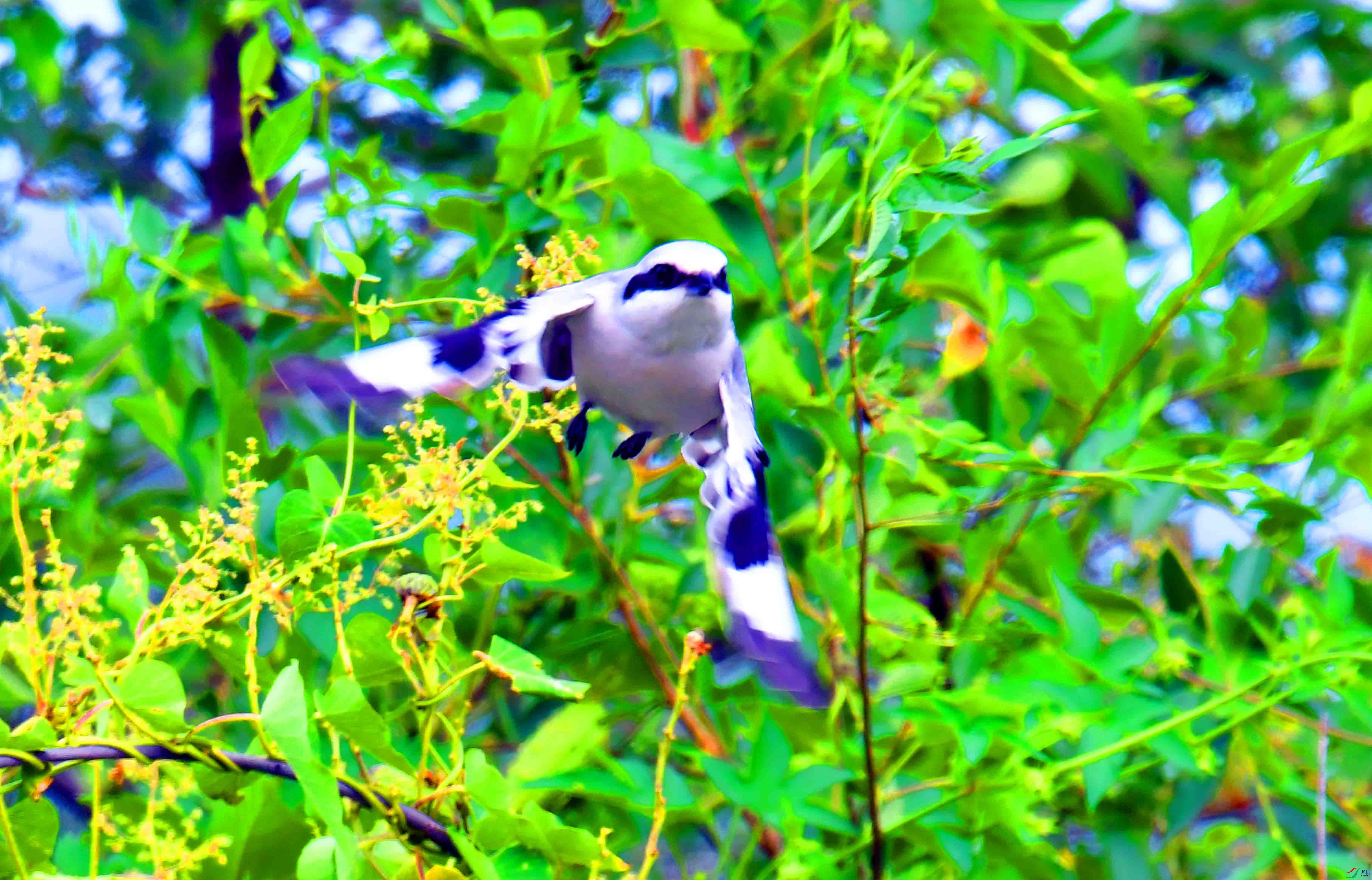 DSC_5328.JPG