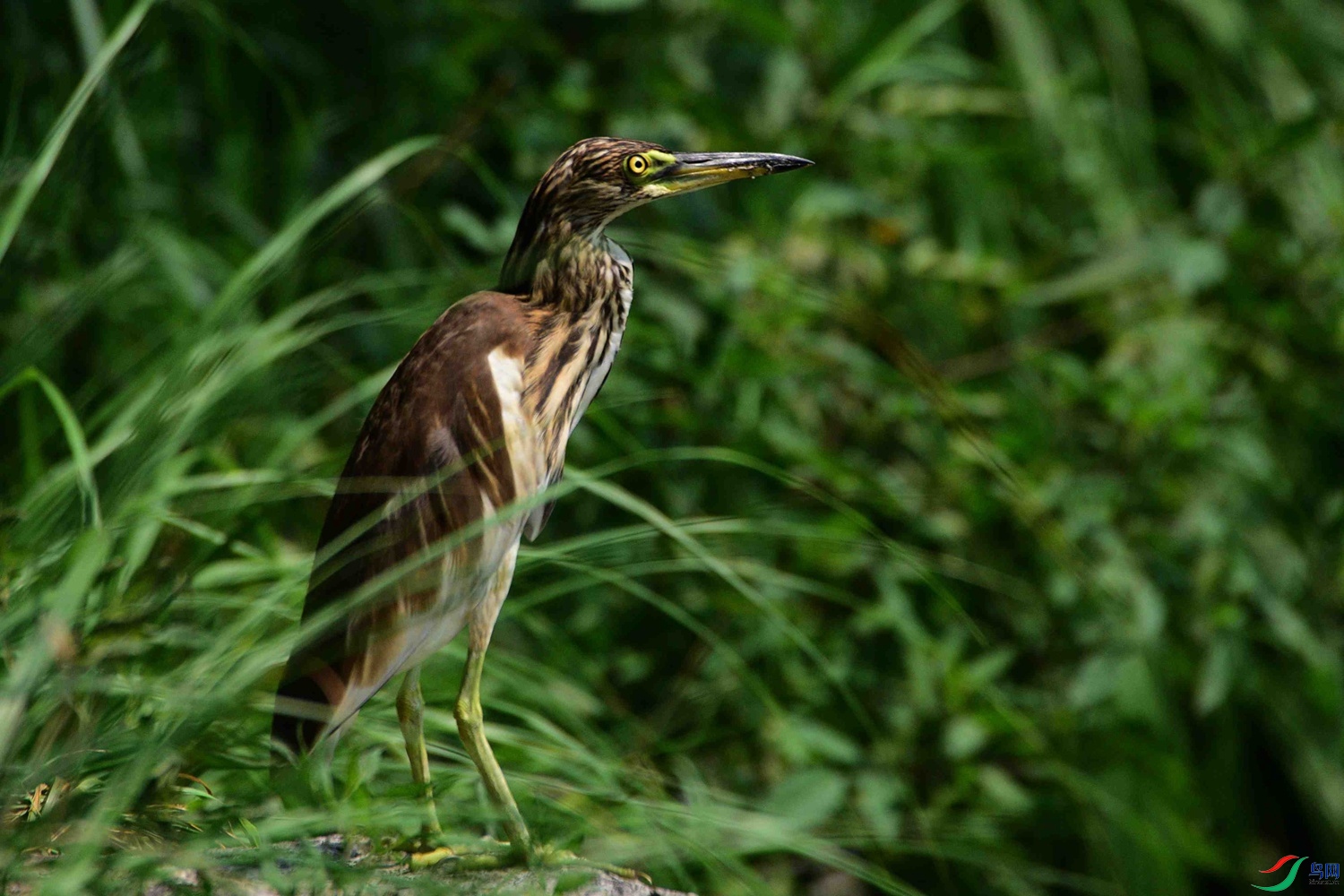 DSC_6105.JPG