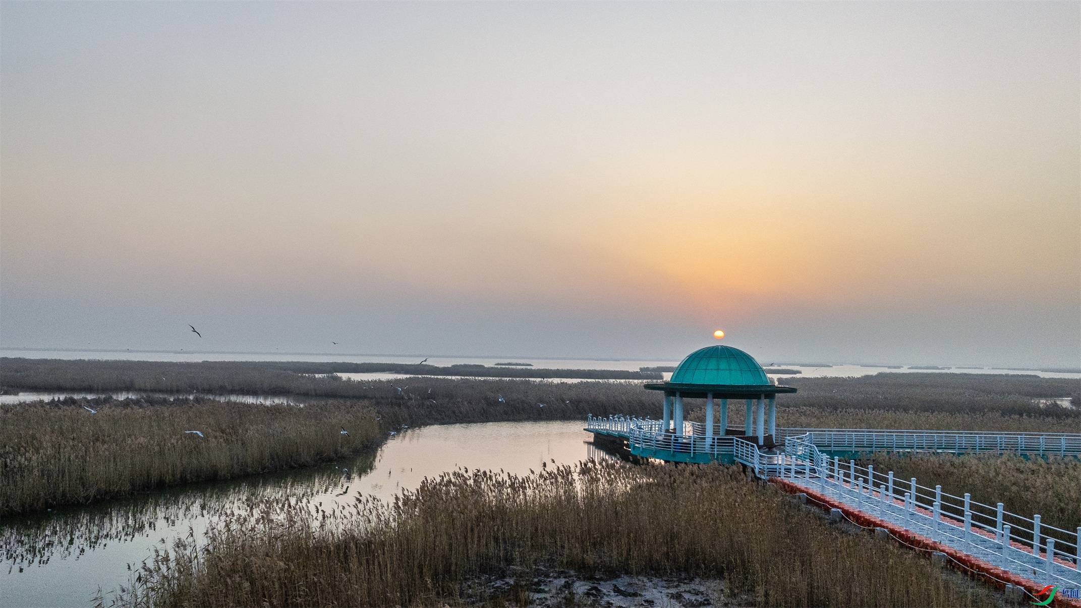 dji_fly_20241031_063034_591_1730329102038_photo ����1.jpg