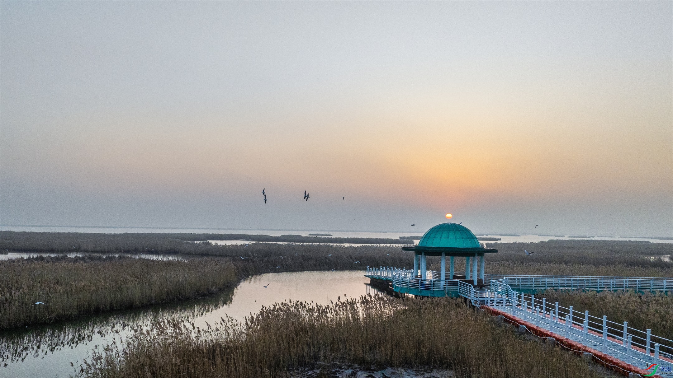 dji_fly_20241031_063026_590_1730329094639_photo ����1.jpg