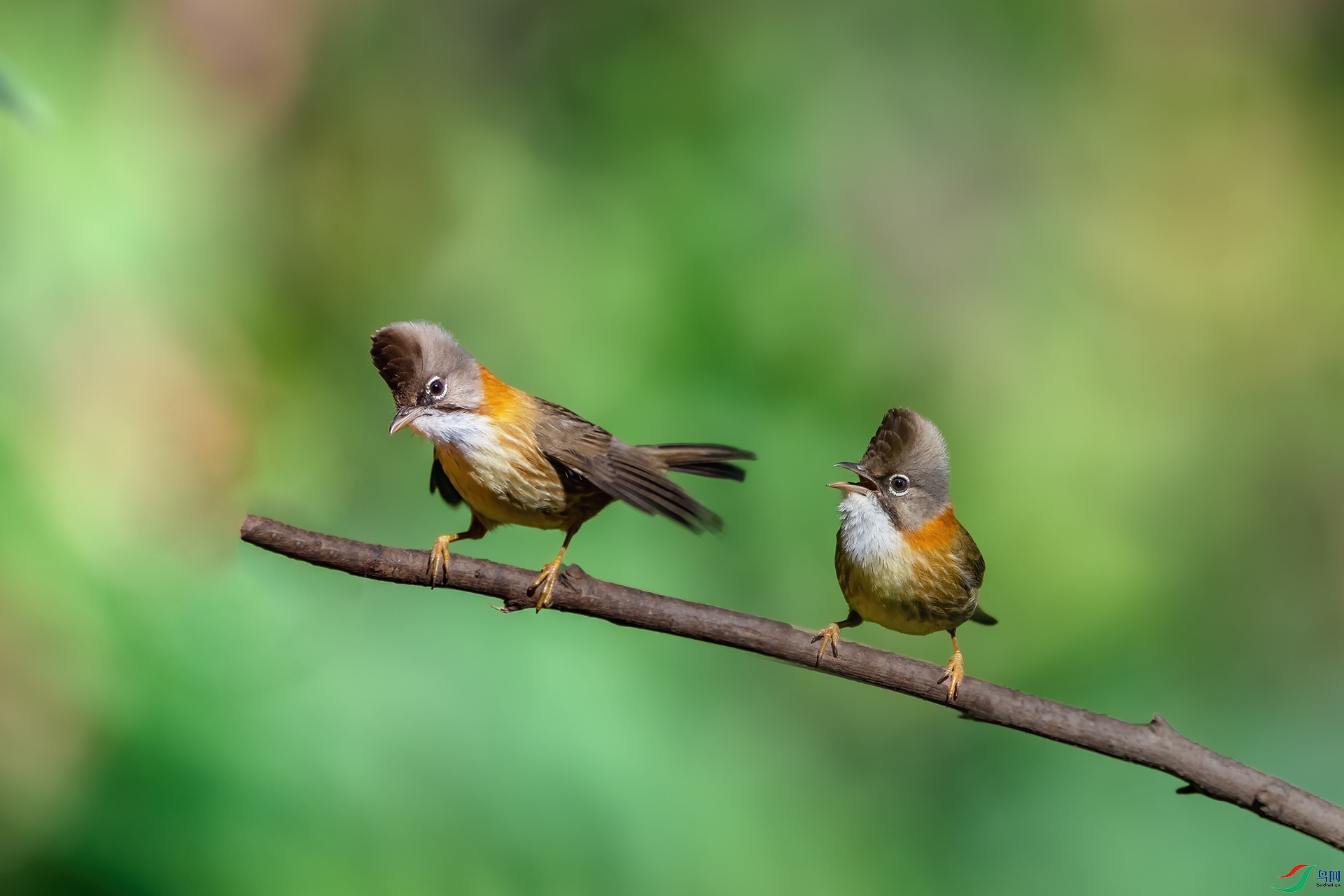 File08554 ��.jpg