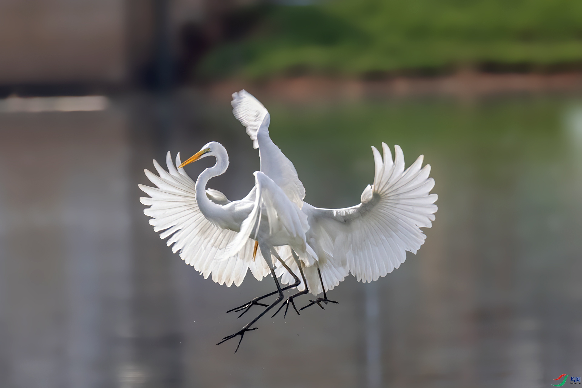 407A1204 ����-Sha-----1 .jpg