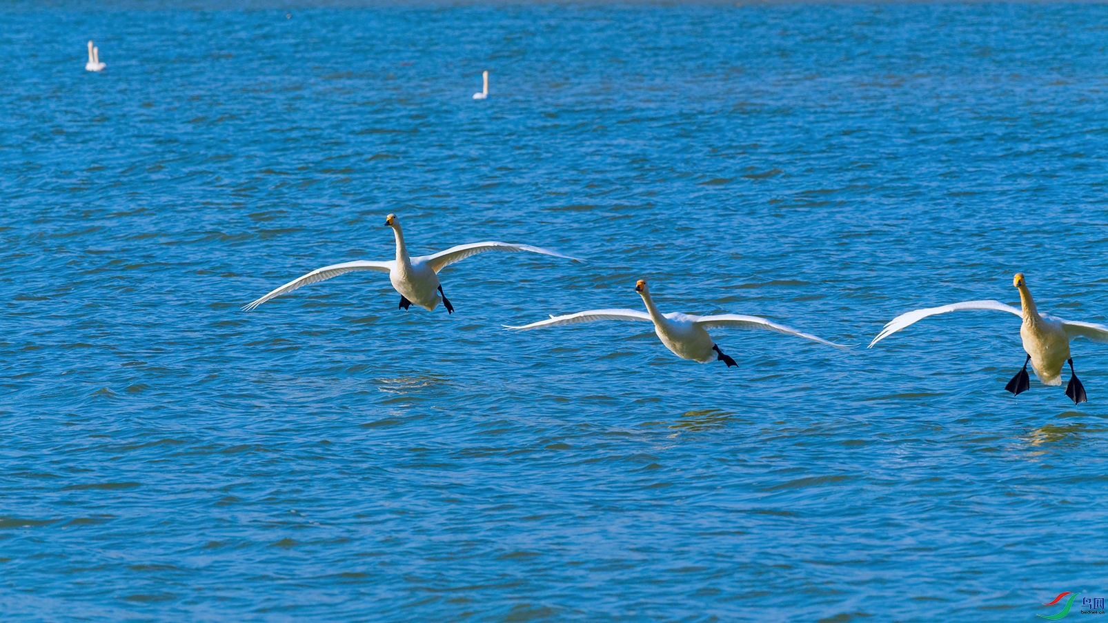 DSC_3864_DxOa.jpg