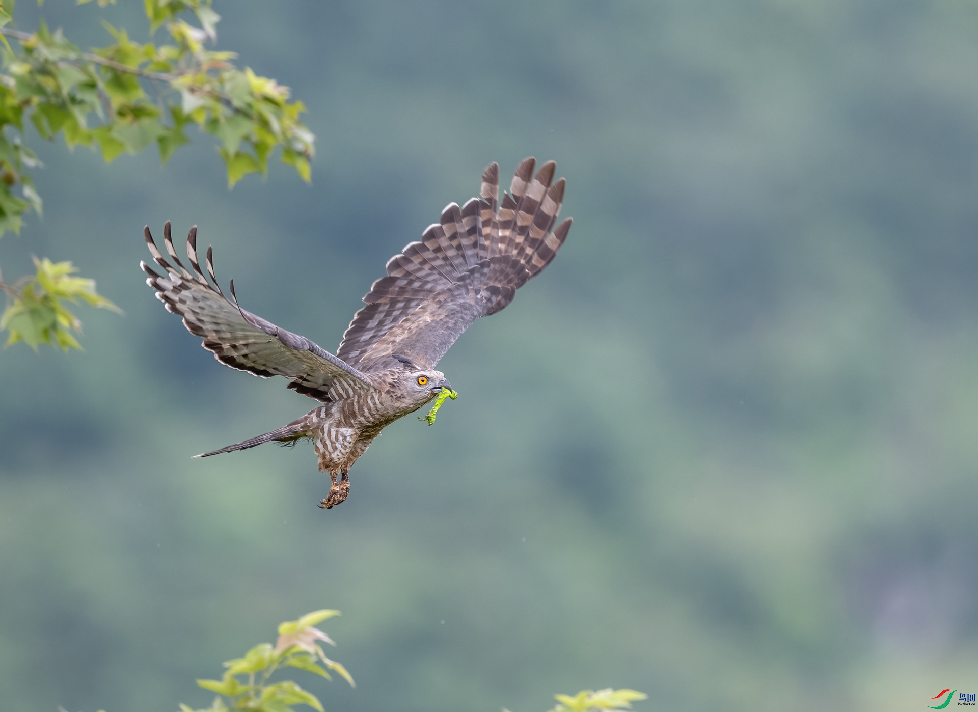 DSC_3786.jpg