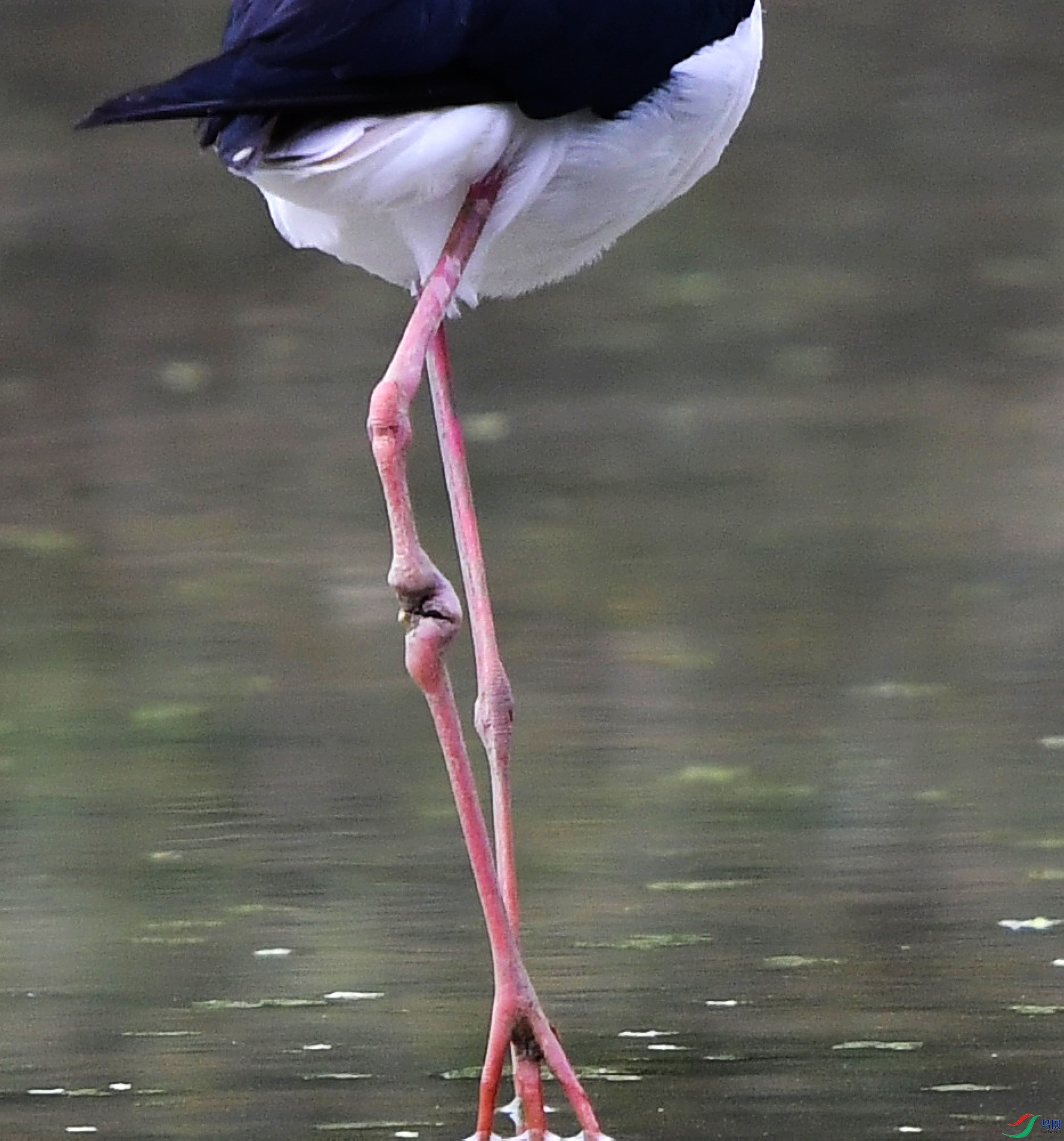_D5D7586.jpg