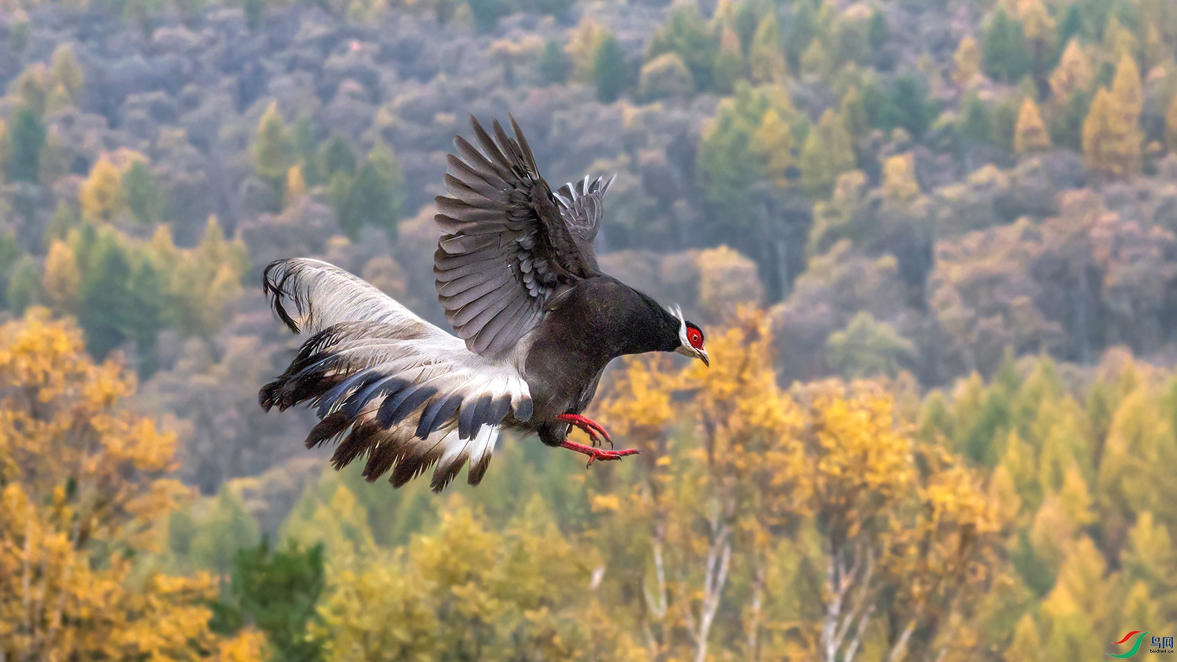 DSC_0880-�ָ��� ����bbbb ���� 2.jpg