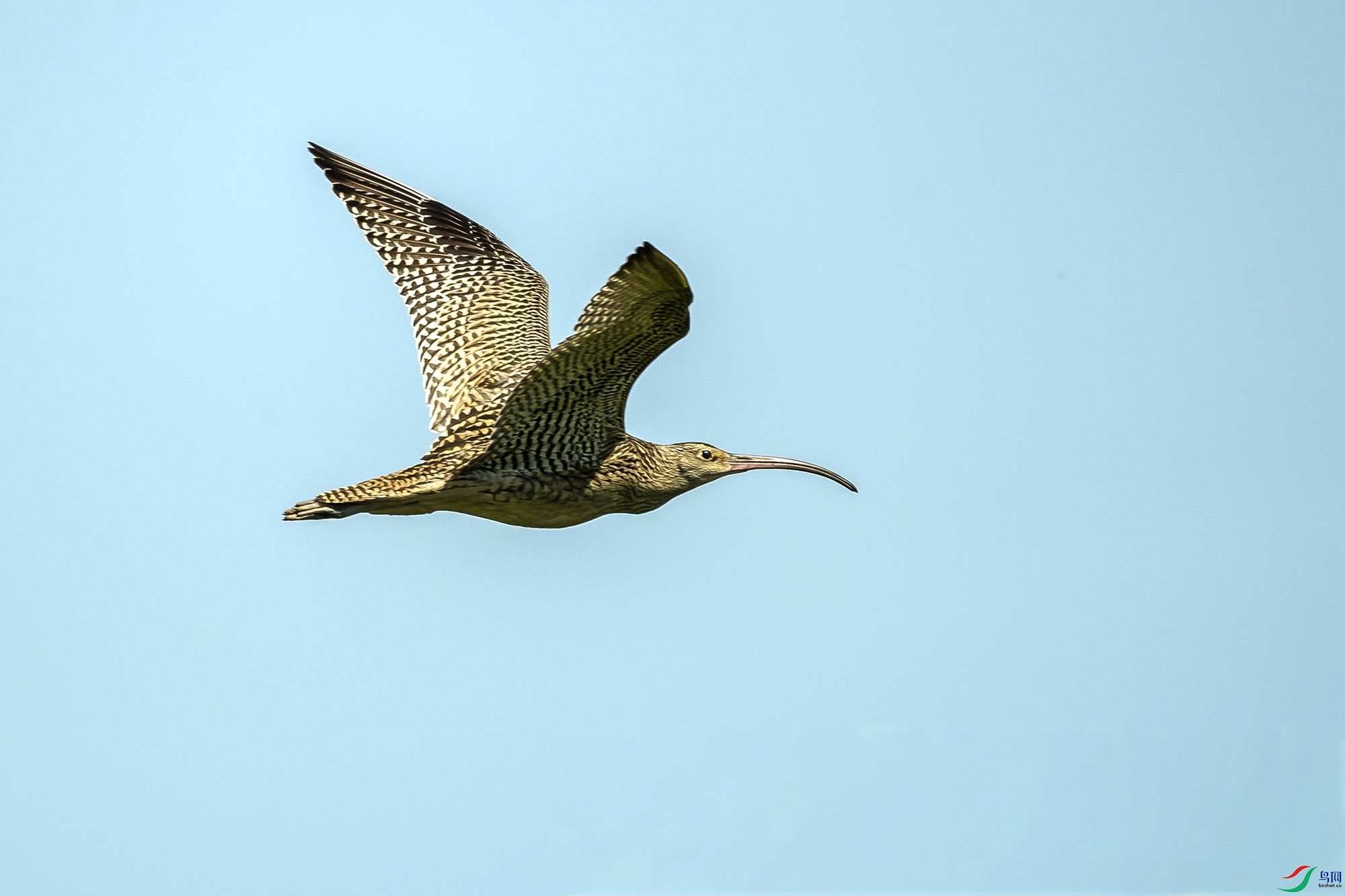 DSC_8582.jpg