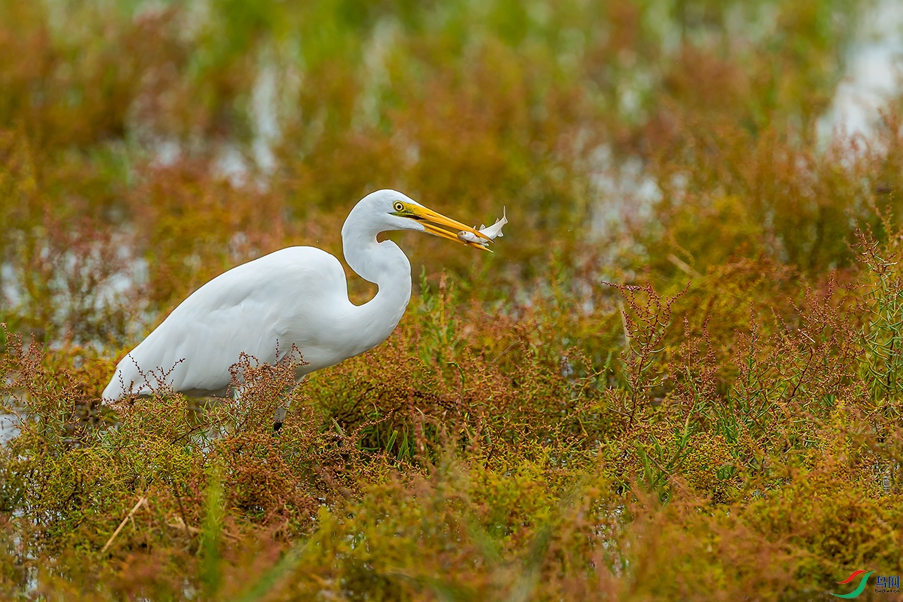DSC_5356.jpg