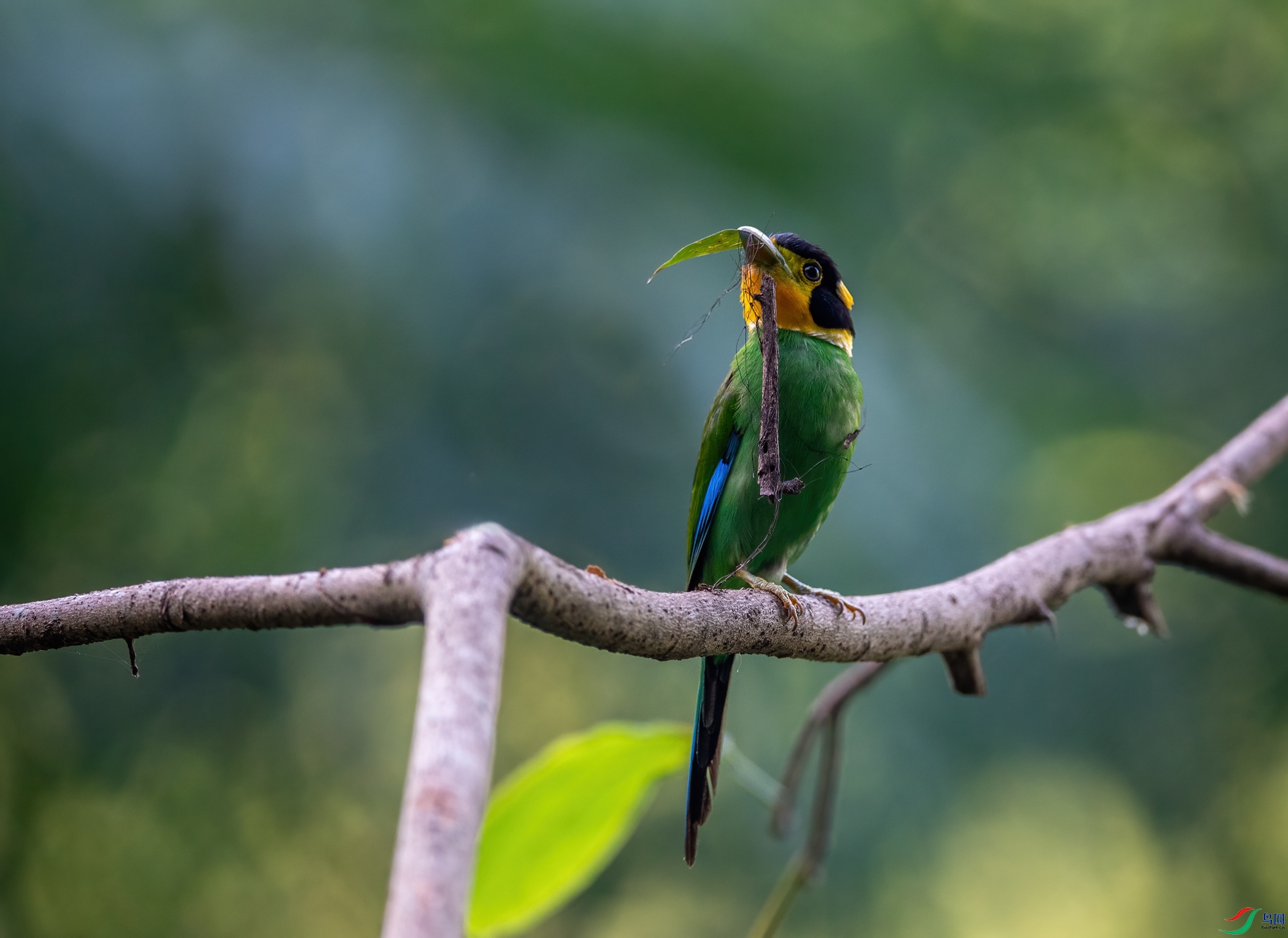 DSC_3512-1.jpg
