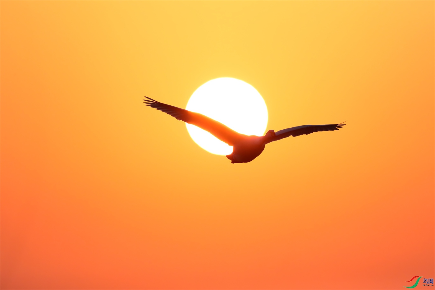 ΢��ͼƬ_20241029233329.jpg