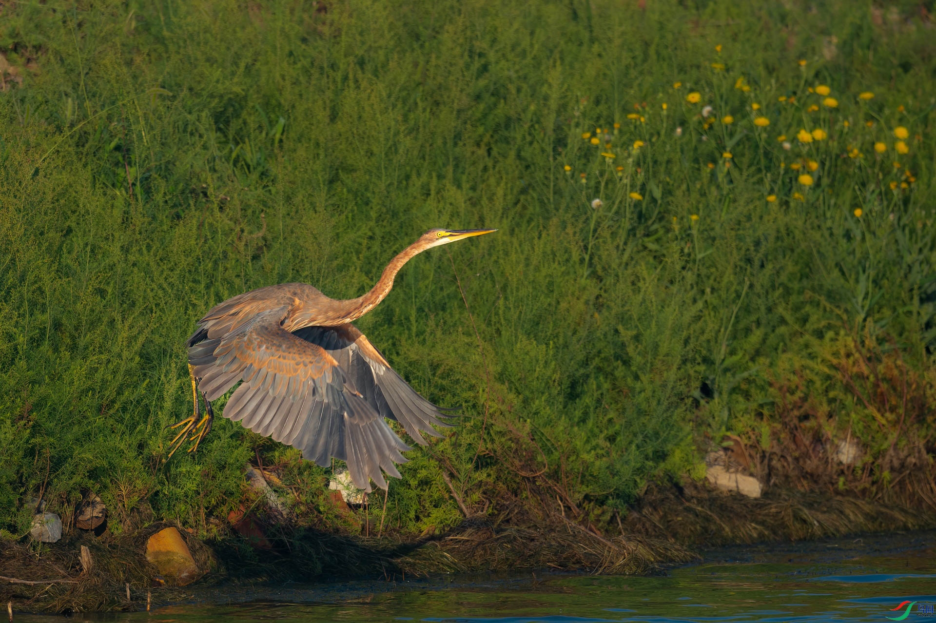 sen2016 8-27-6-�༭.jpg