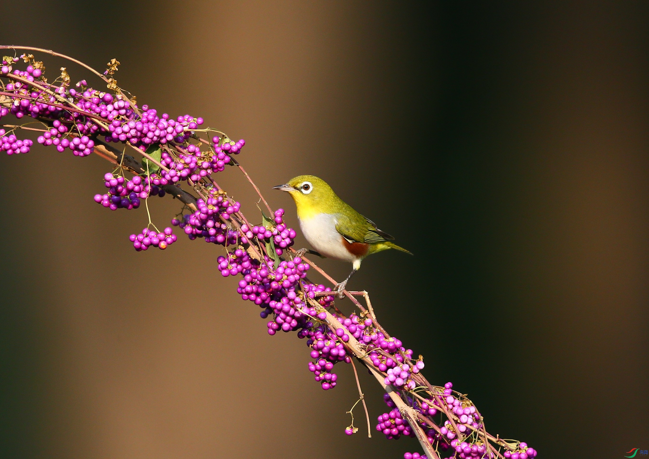 ��Э������ (3).JPG