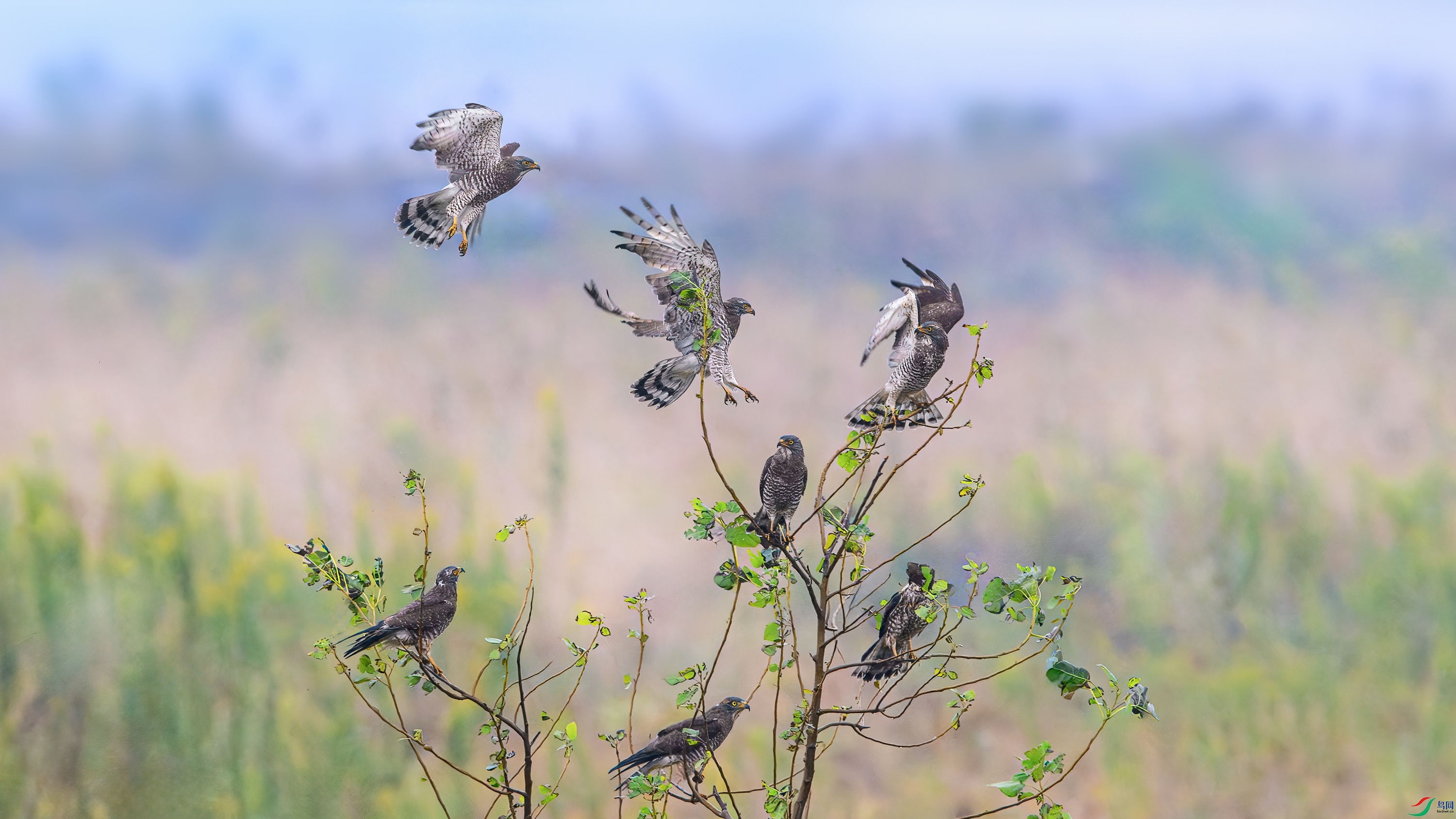 ��ƬDSC_5846-����ǿ-NR-1 ����.jpg