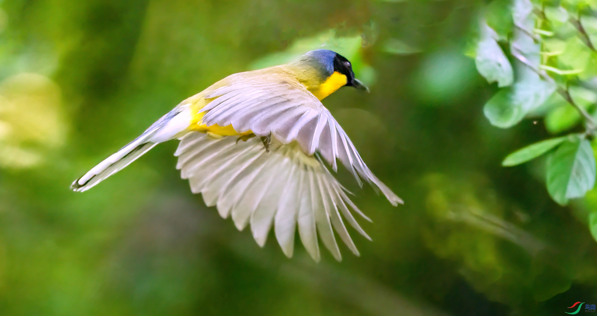 407A2398 ����-Sha---1 .jpg