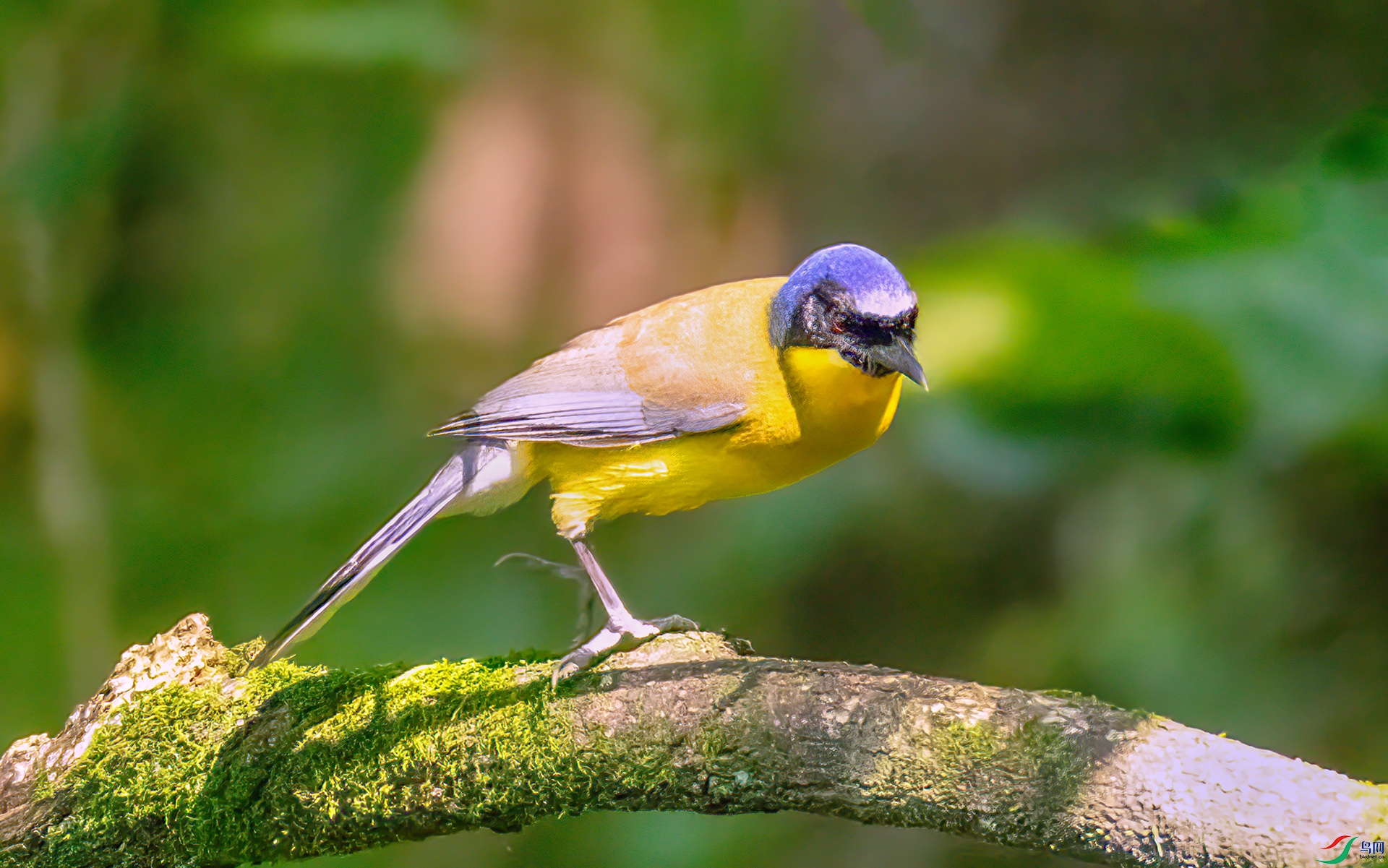 407A2412 ����-Sh---1 .jpg