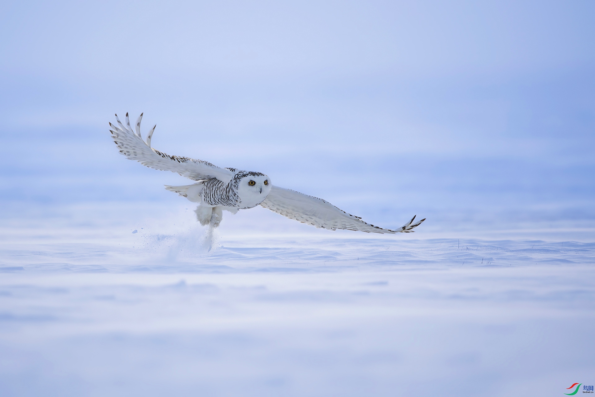 _DSC9639.jpg