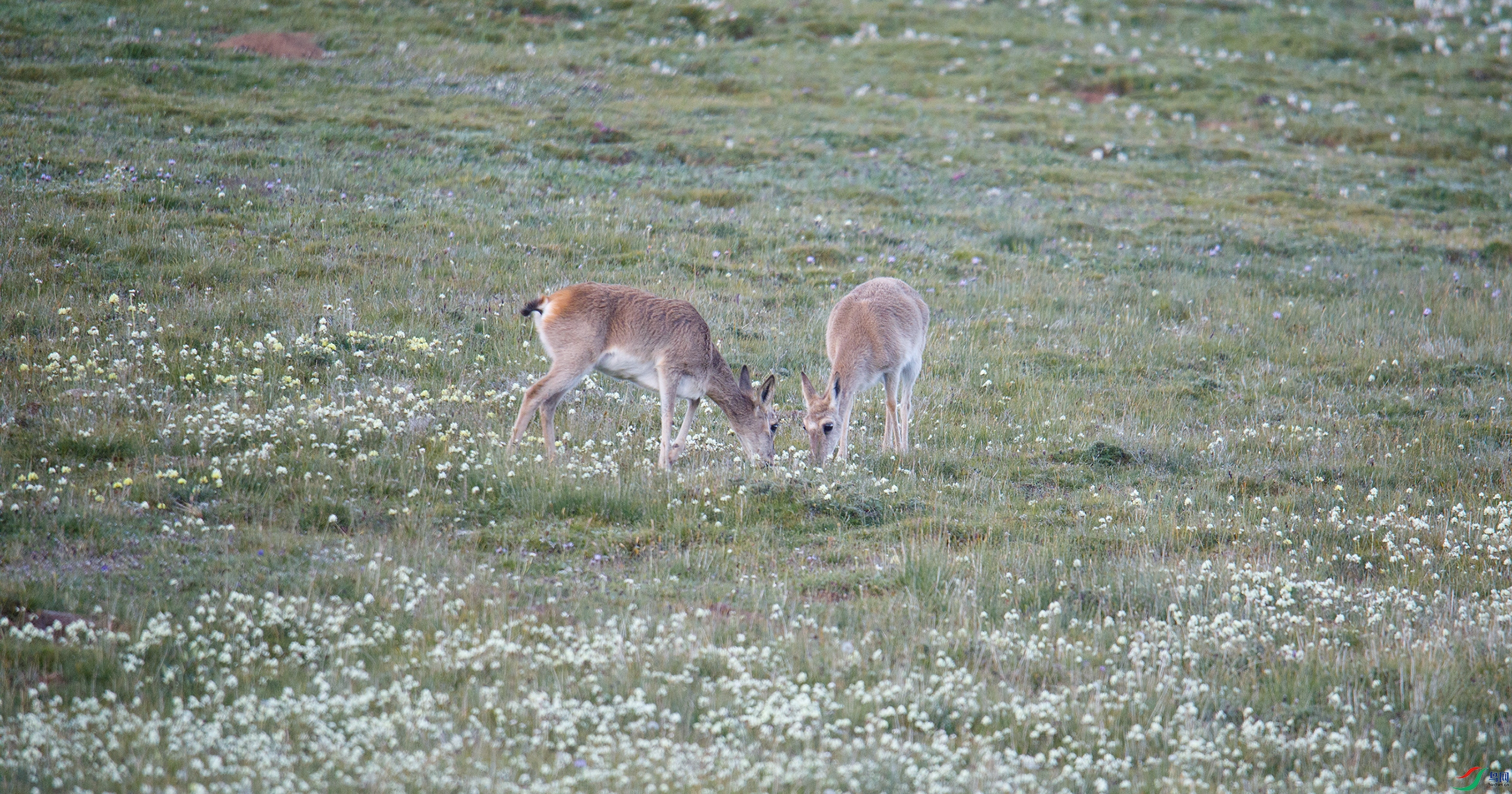 000A0080 ����0000.jpg