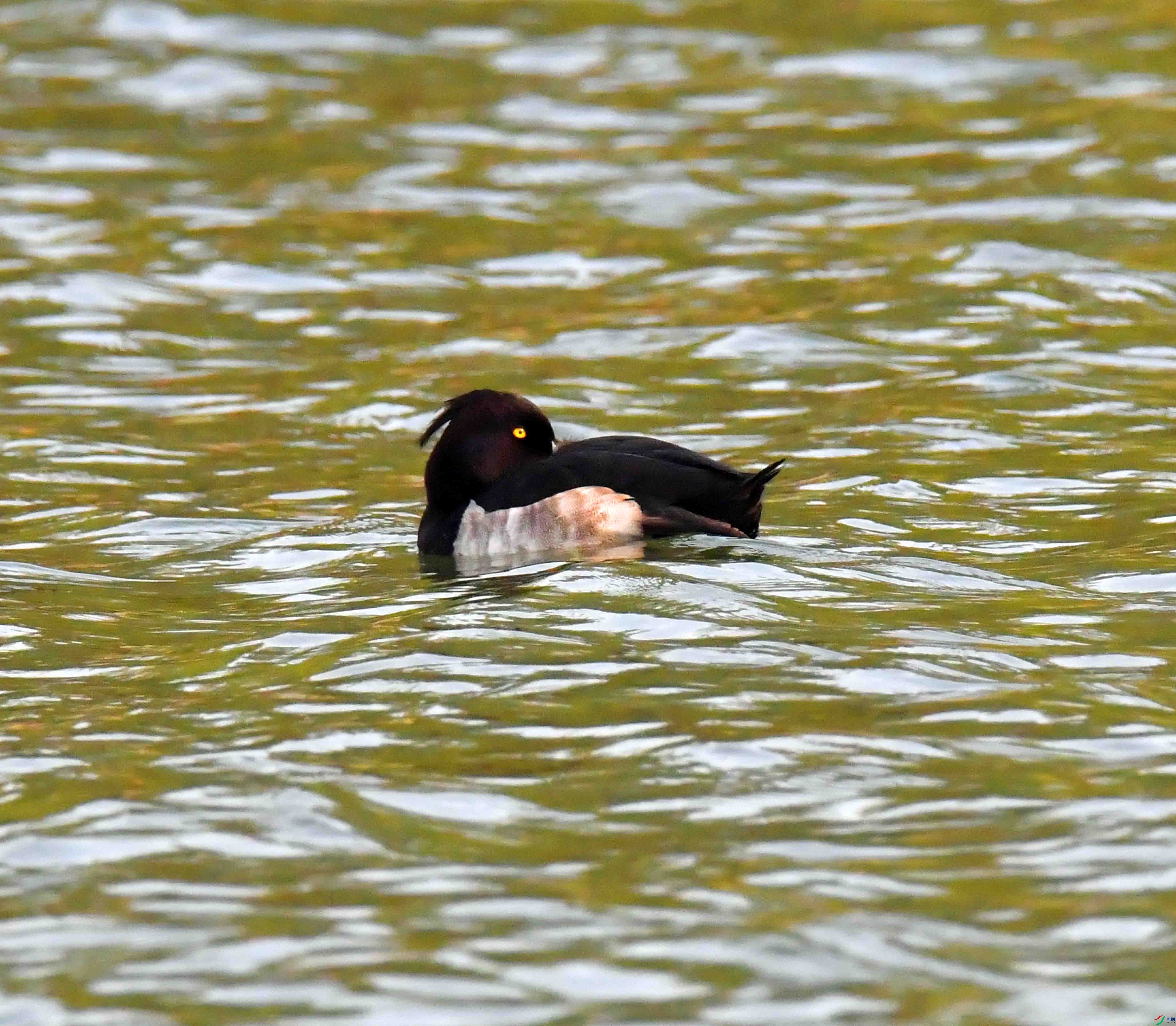 DSC_2848.JPG