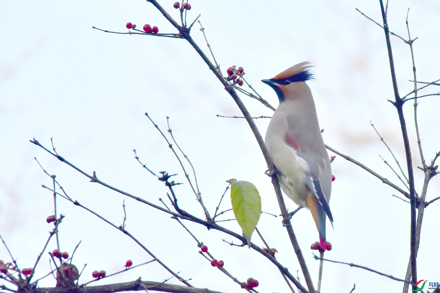 DSC_5829.JPG