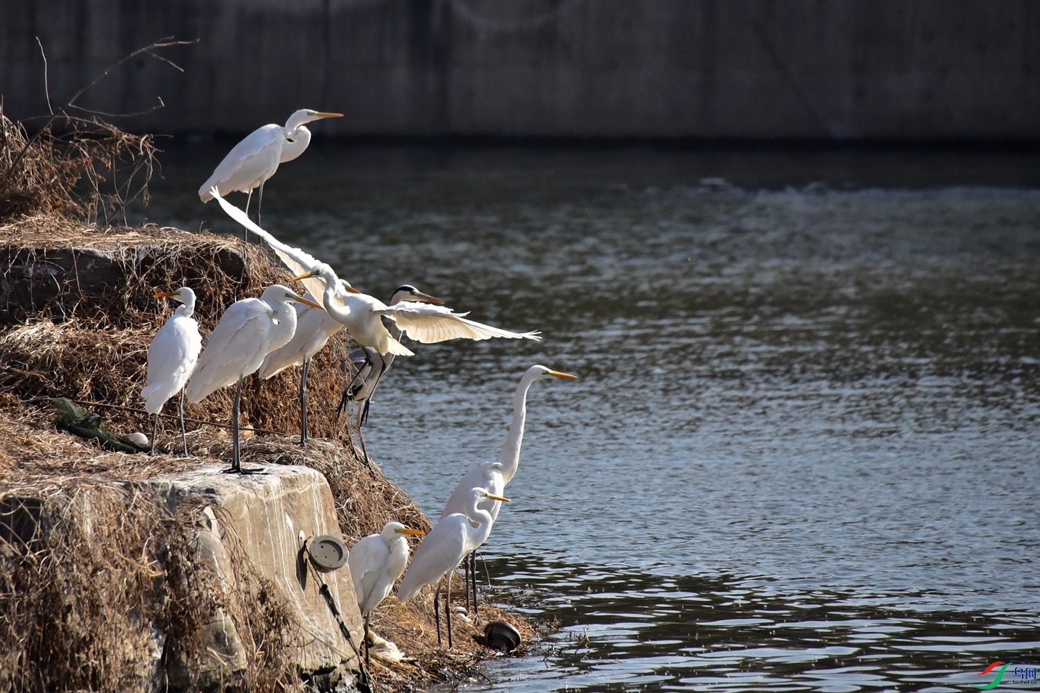 DSC_6057.JPG