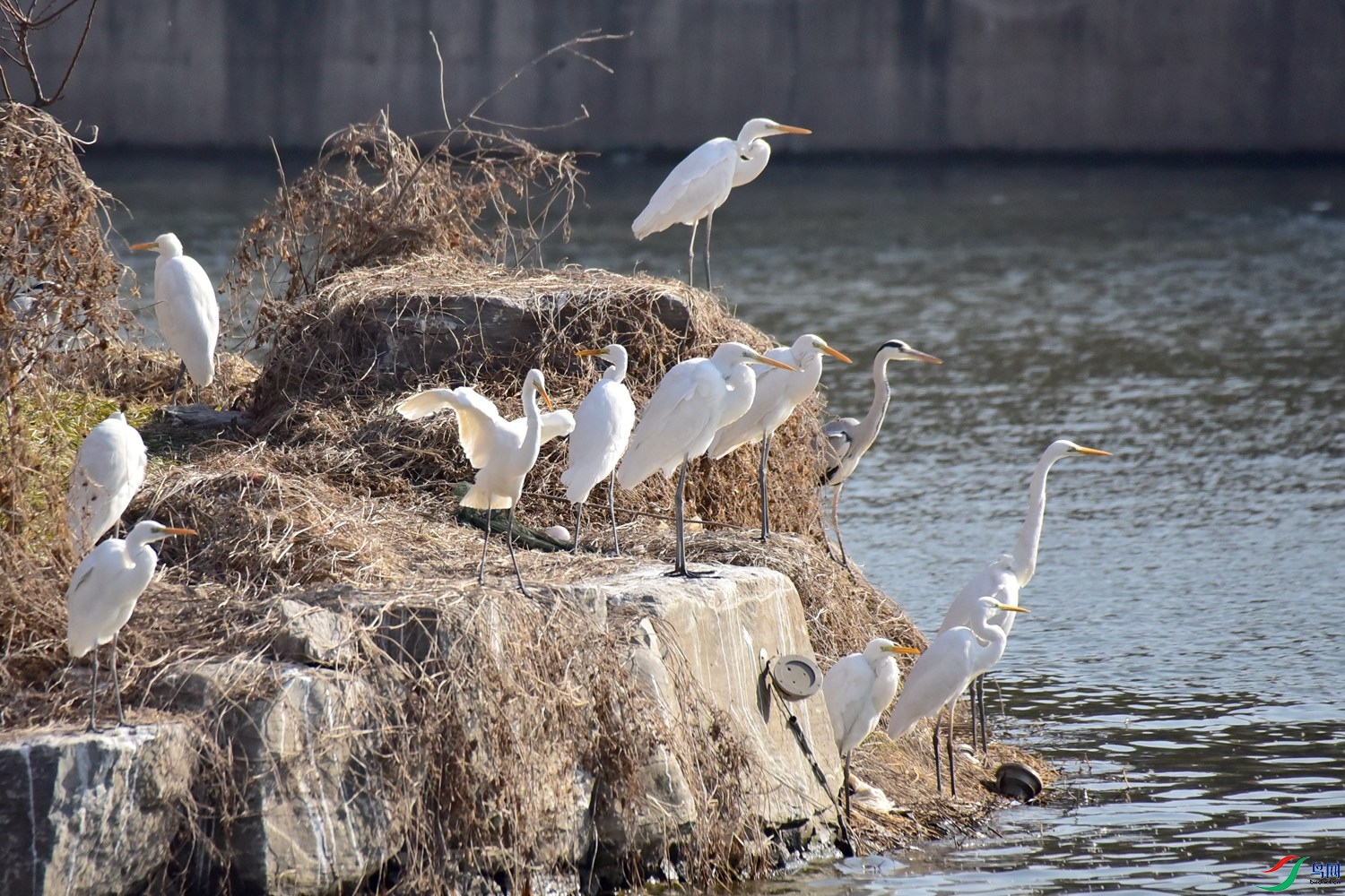 DSC_6058.JPG