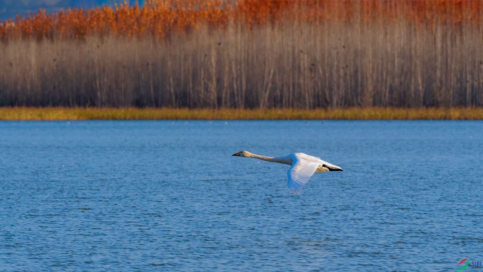 DSC_2531_DxOa.jpg