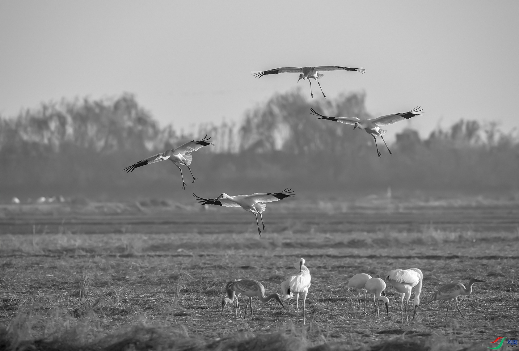 DSC_�׺� - ���� 1.jpg