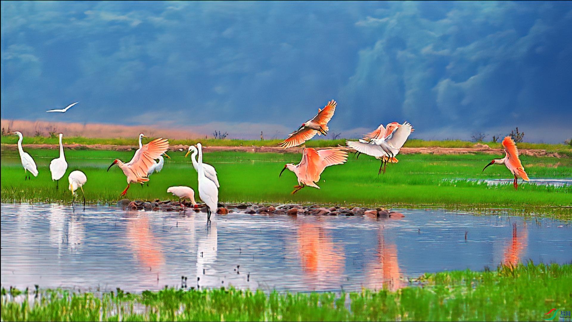 ������ʯ�������q