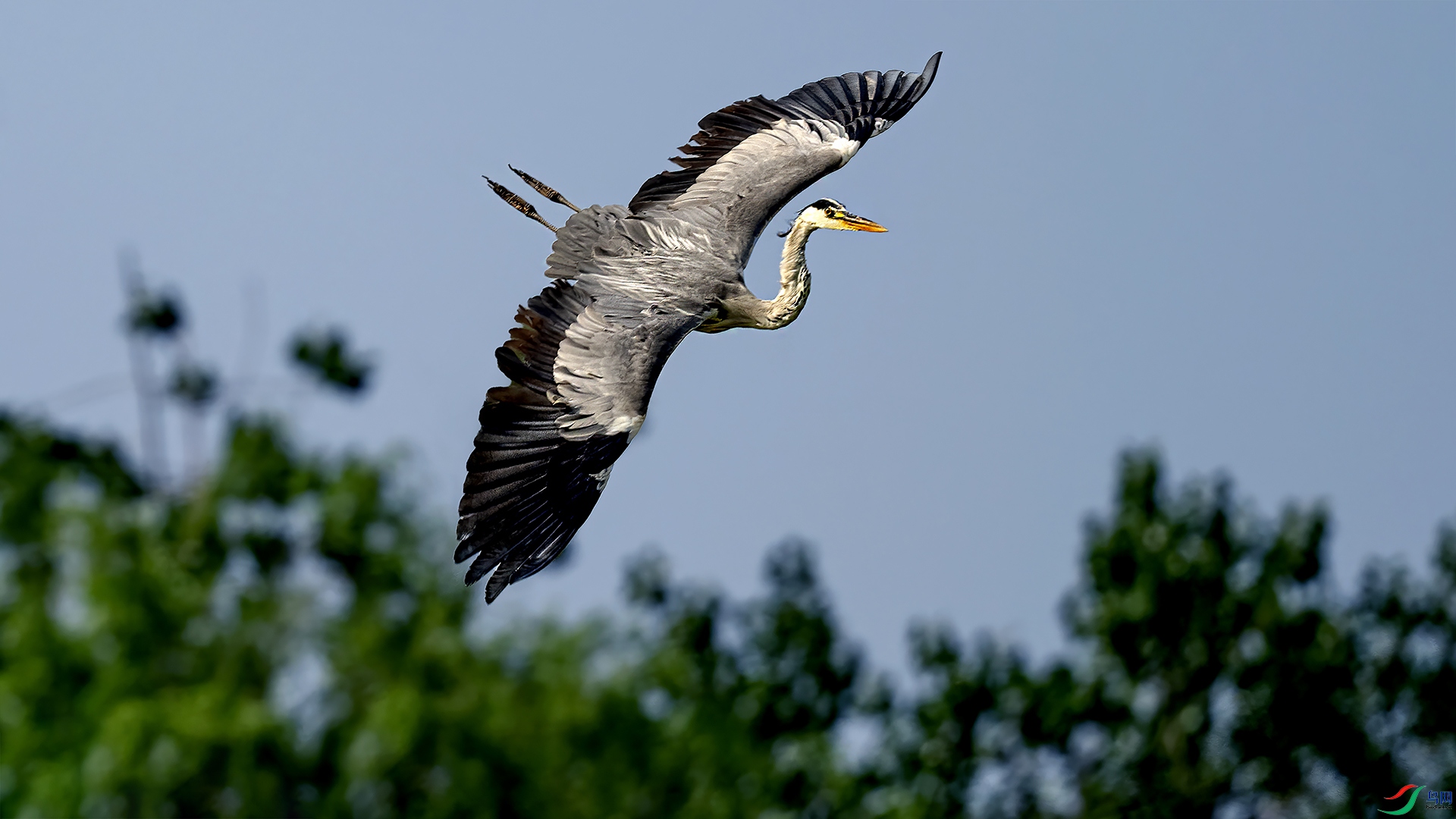 DSC_7659-.jpg