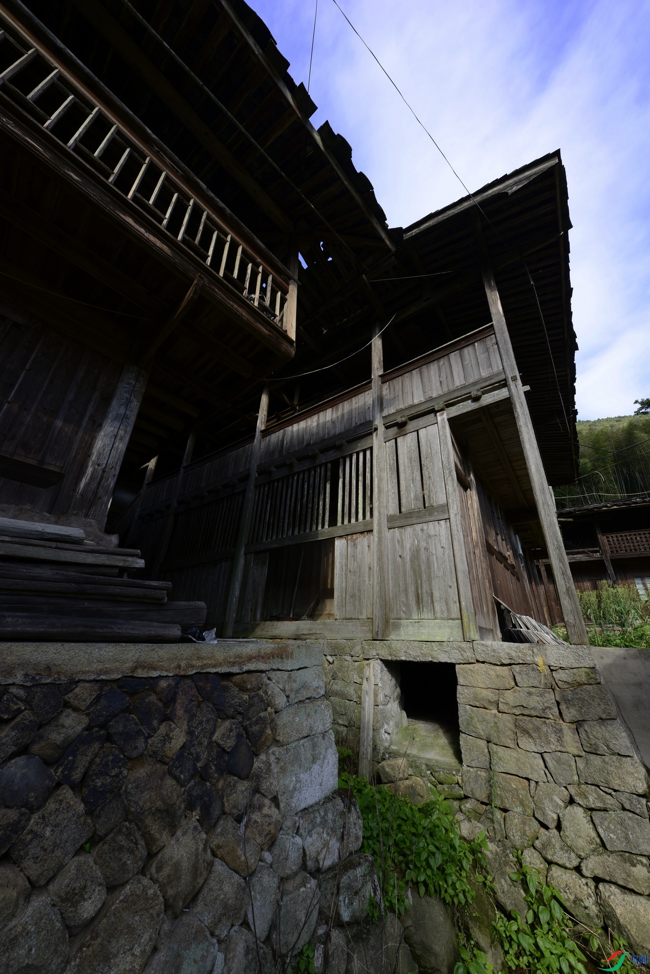 _D809939.jpg
