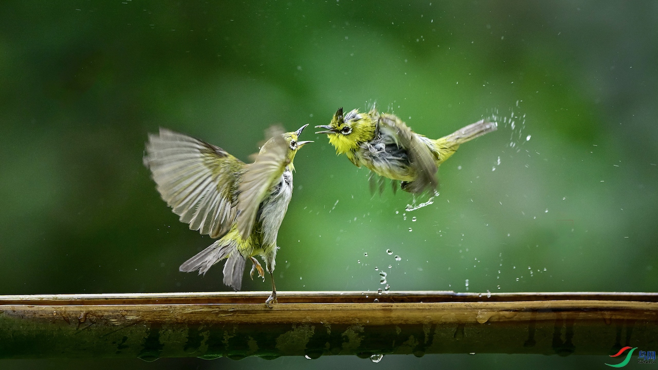 1_XXL0220 ���� 2.jpg