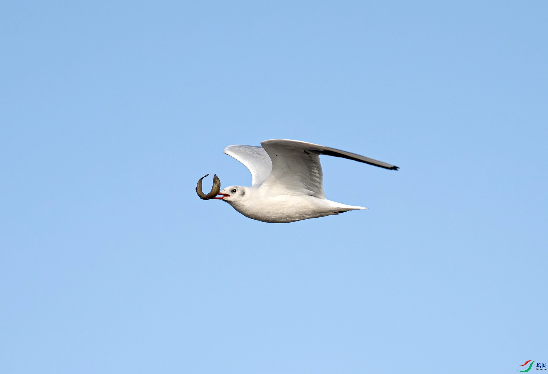 DSC_0765f.jpg