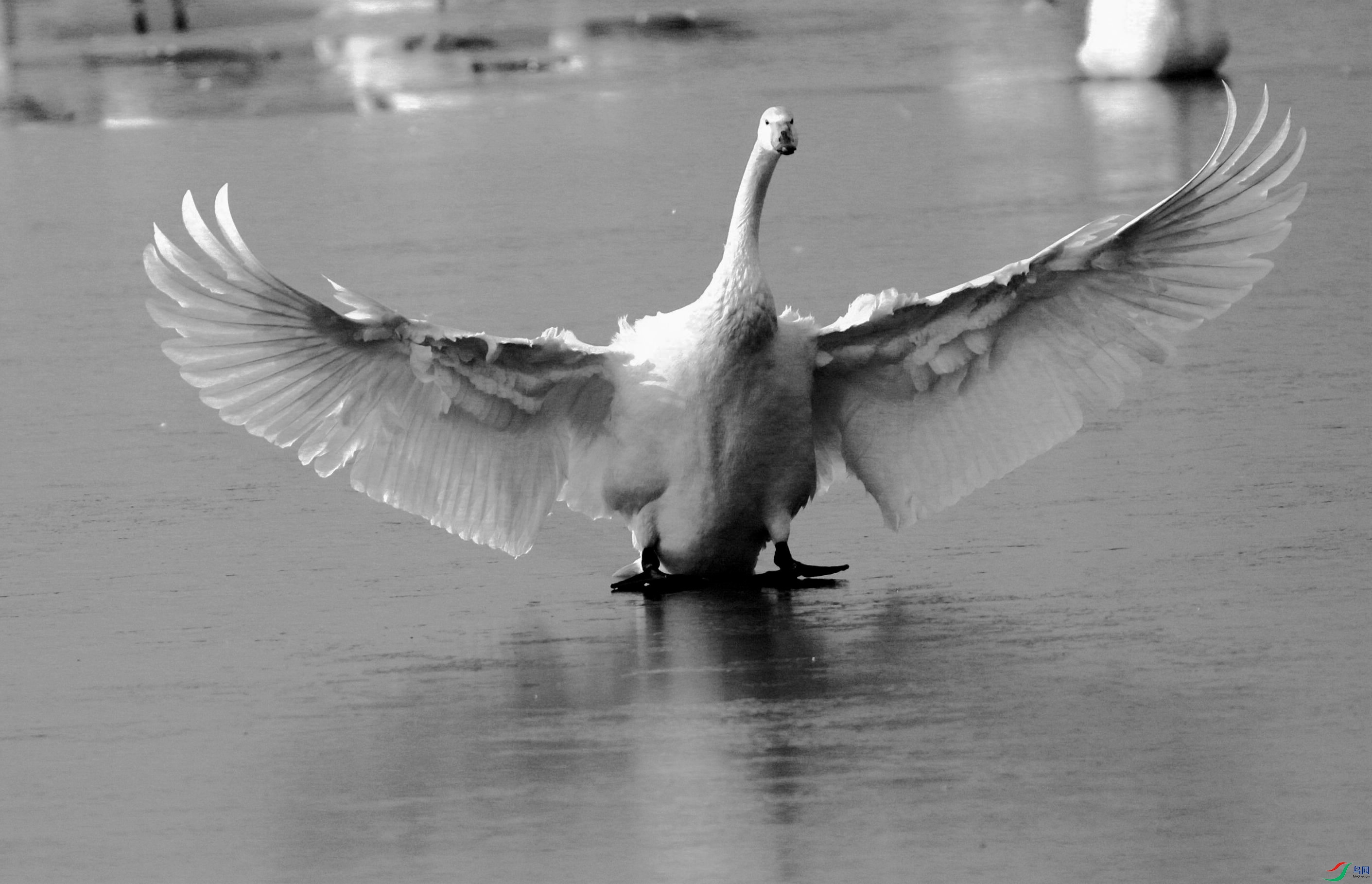 BG3A0191_���� - ���� - ����_����_����.jpg