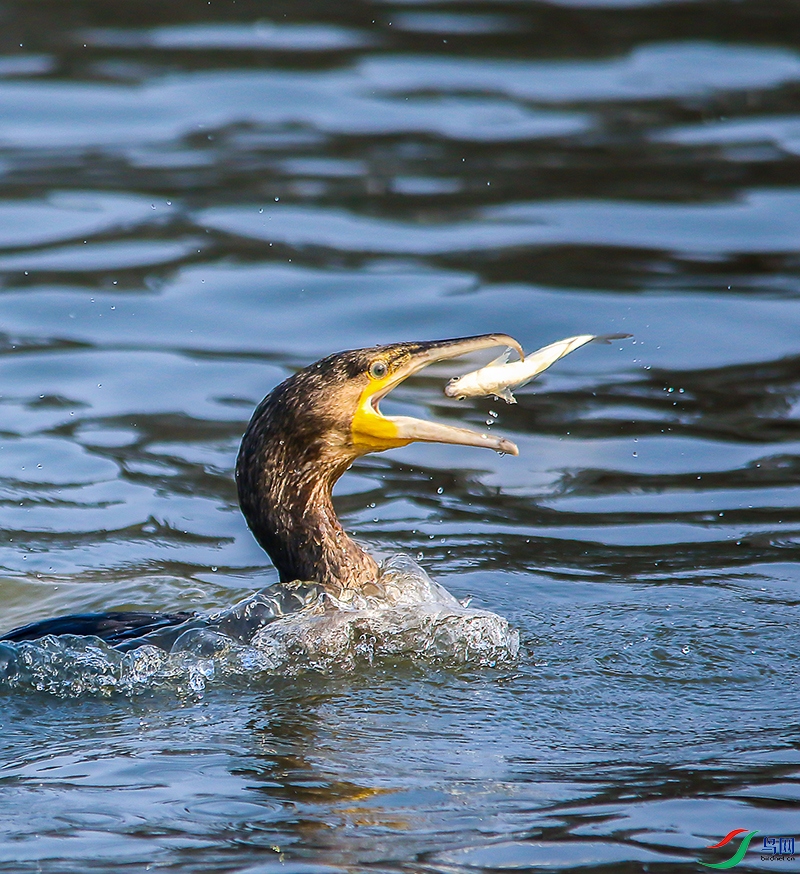 IMG_5969_��ͼ�� ���� 3.jpg