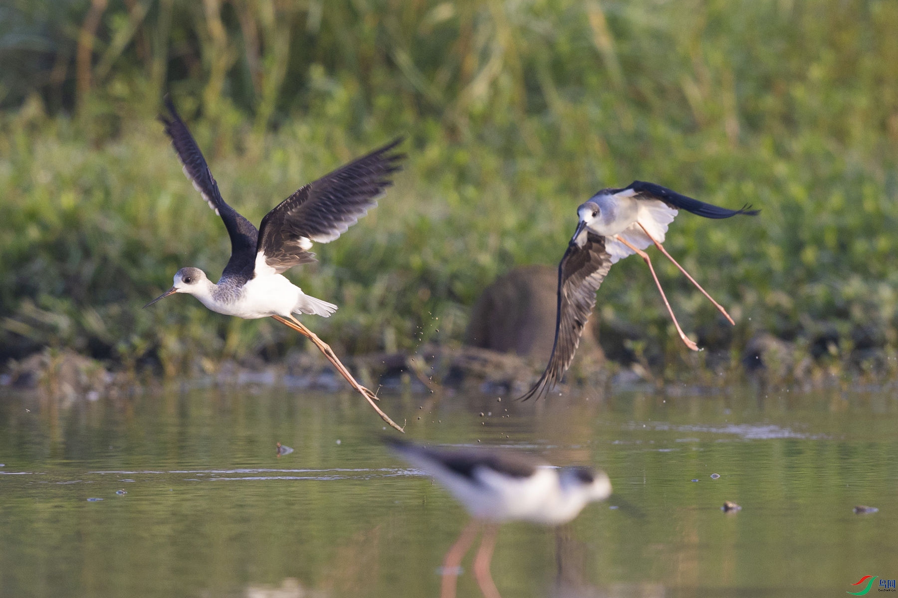 �ڳ᳤����9