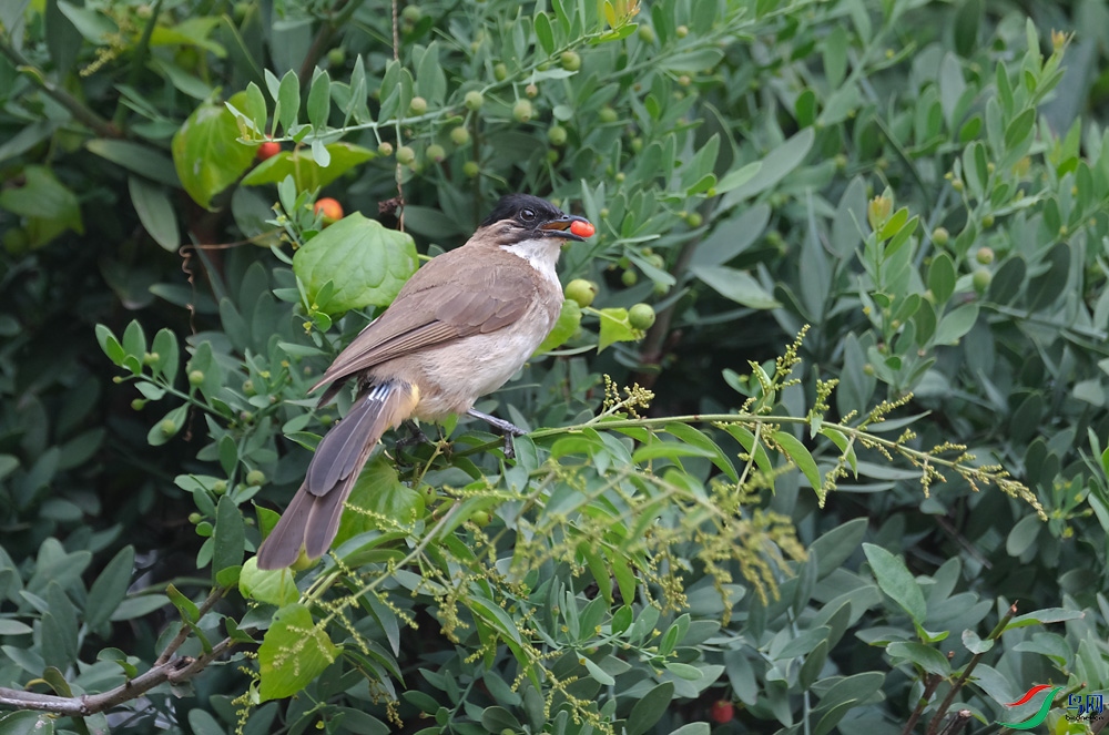 DSCF3721.1.JPG