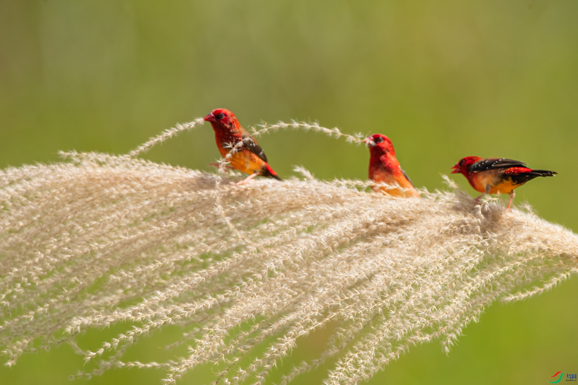 B86I2673 _����.jpg