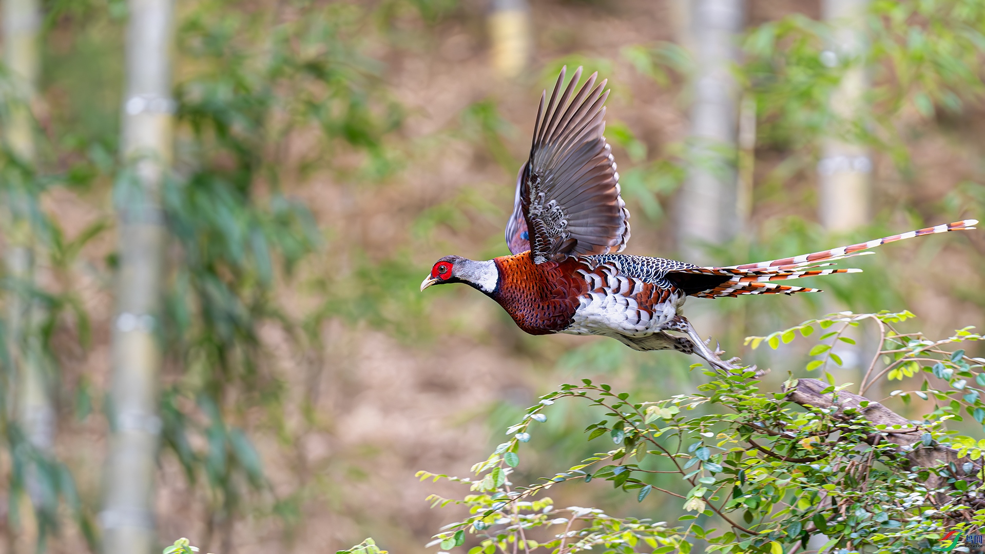 DSC_4674.jpg