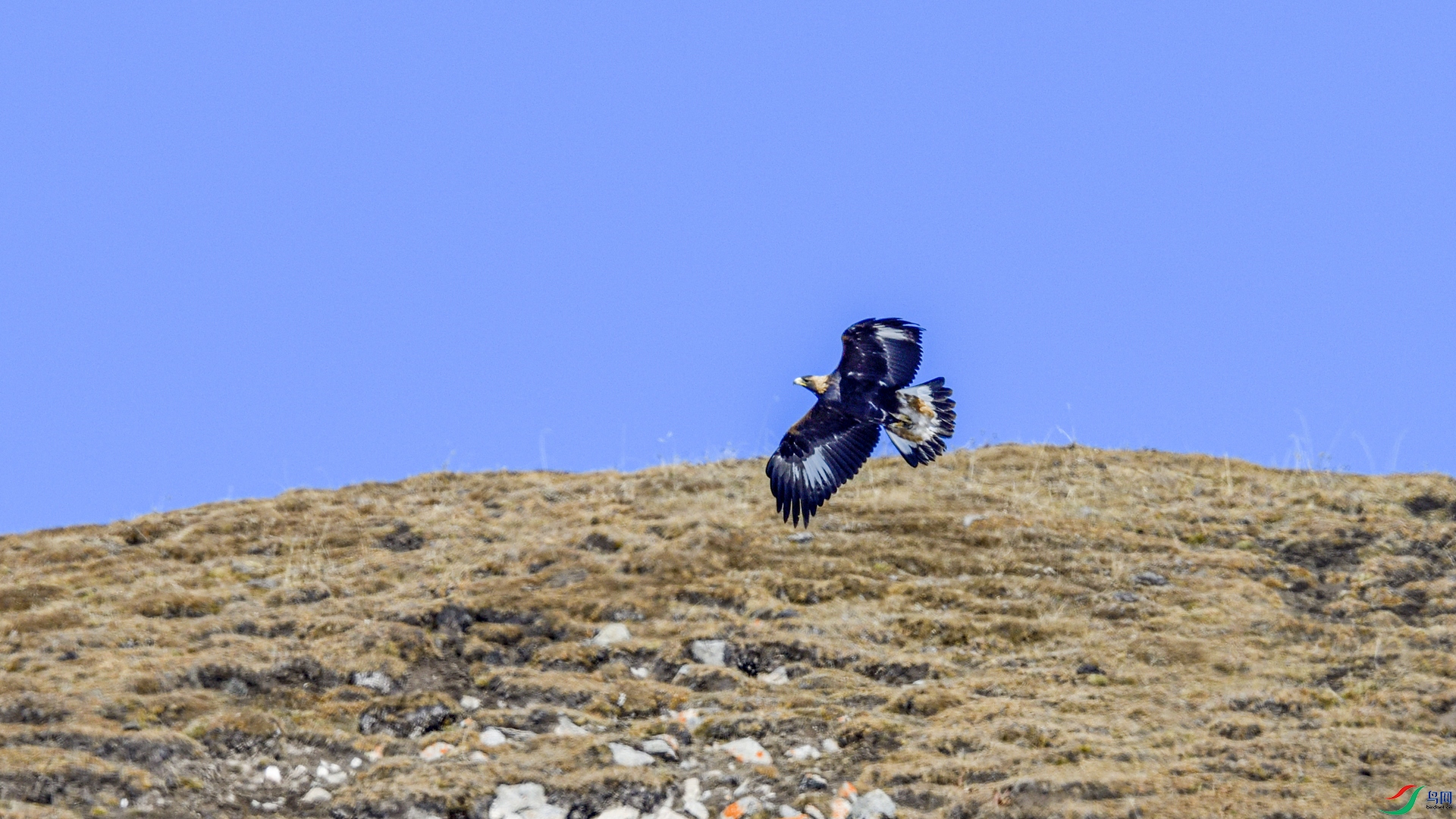 _DSC4995_����.jpg