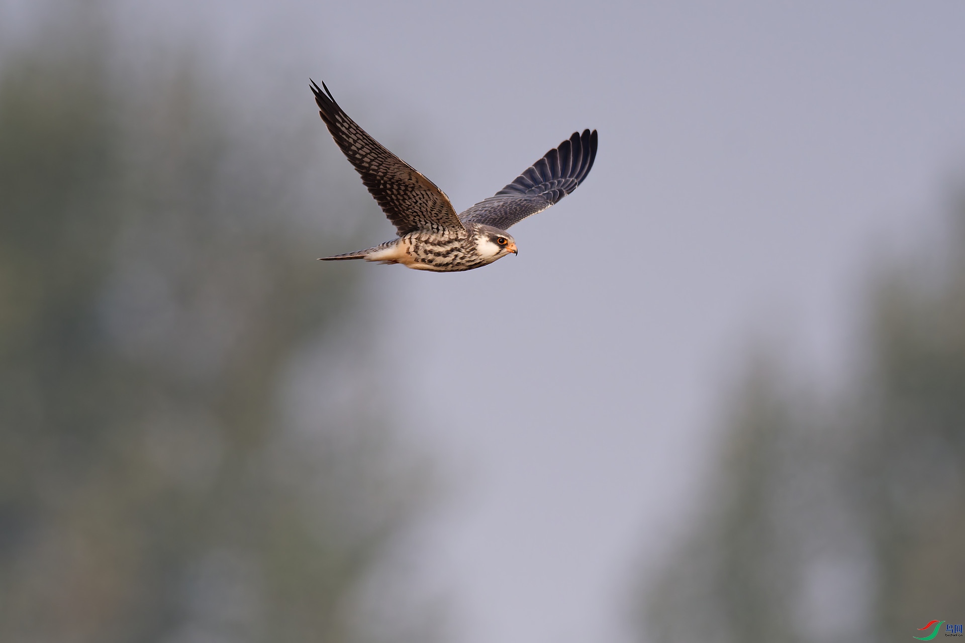 DSC_5760.jpg